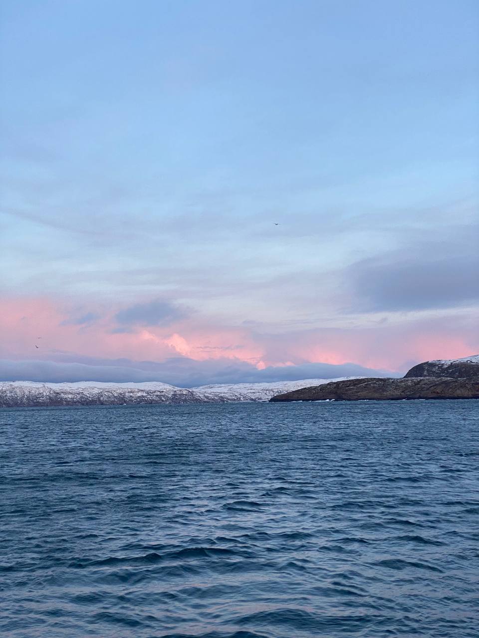 В поисках Китов и Северного сияния: загадочная Териберка (43/67)