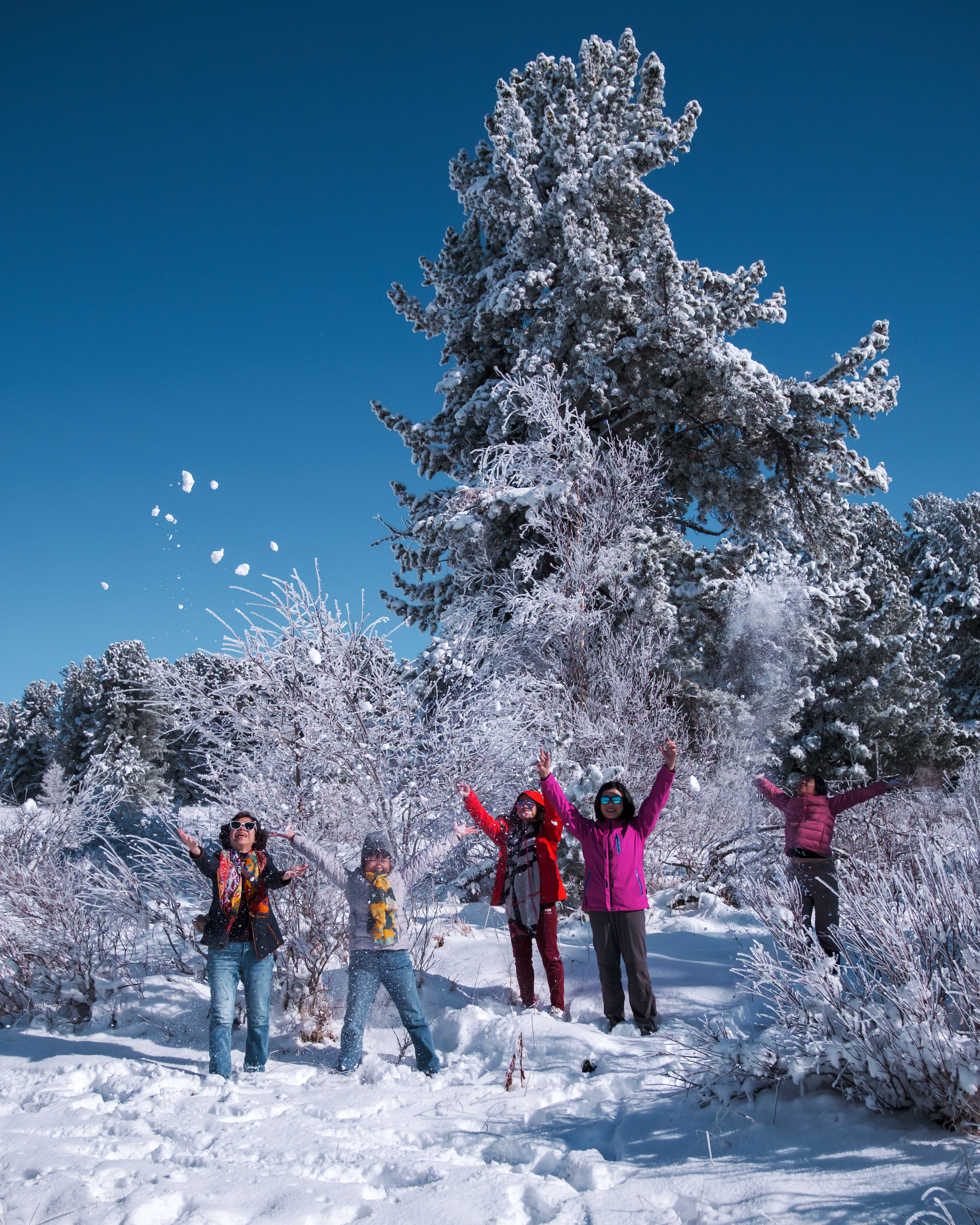 Зима На Алтае