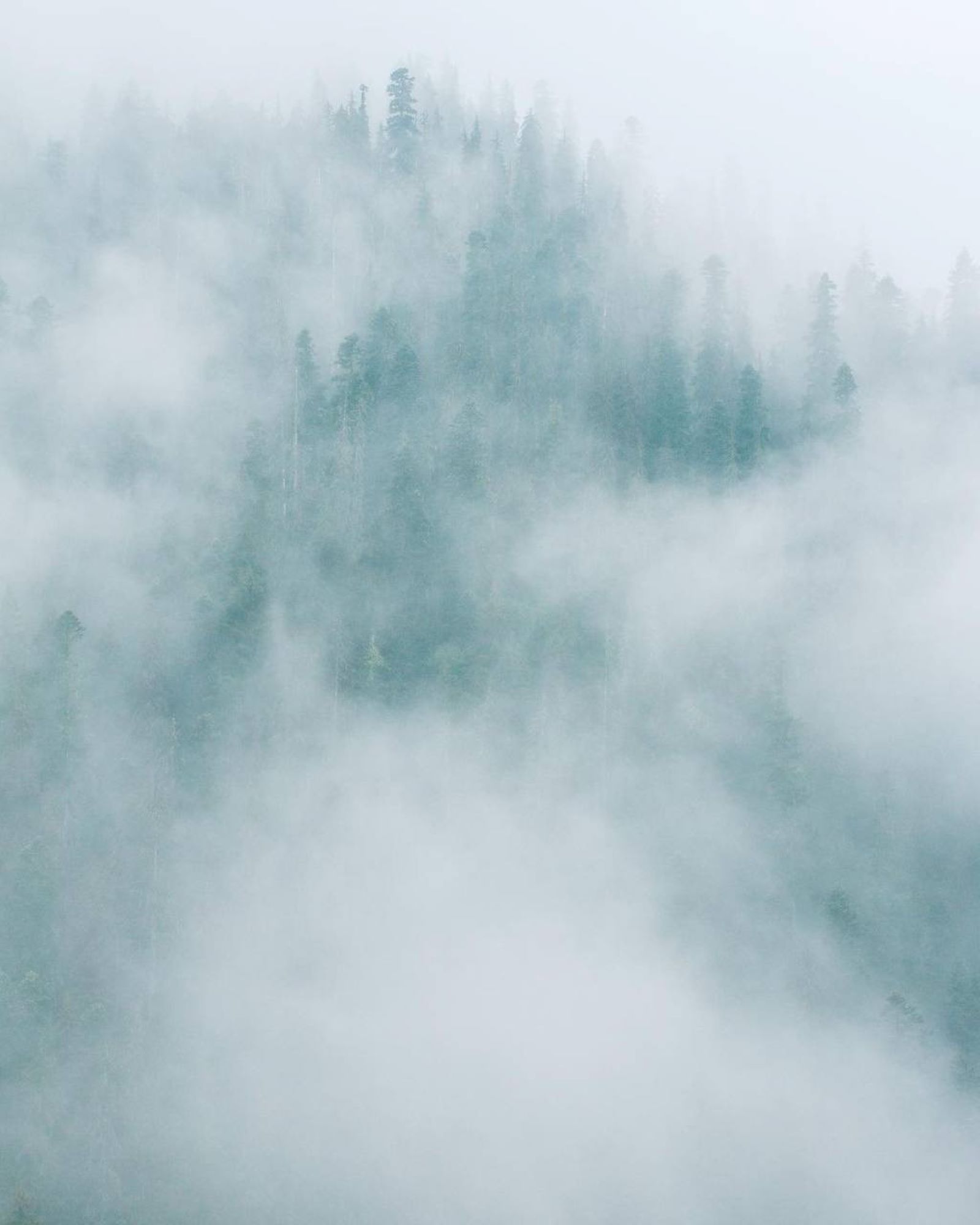 Джип тур в Домбай в мини группе (4/9)