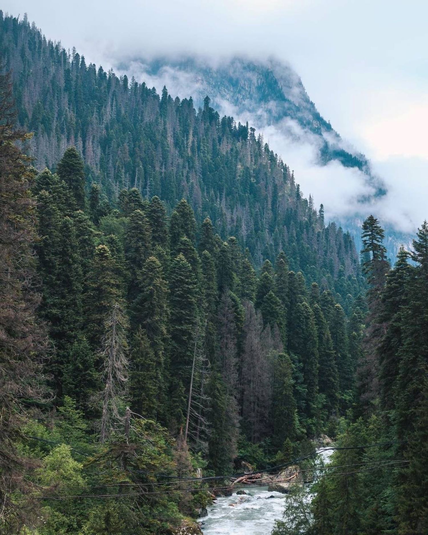 Джип тур в Домбай в мини группе (9/9)