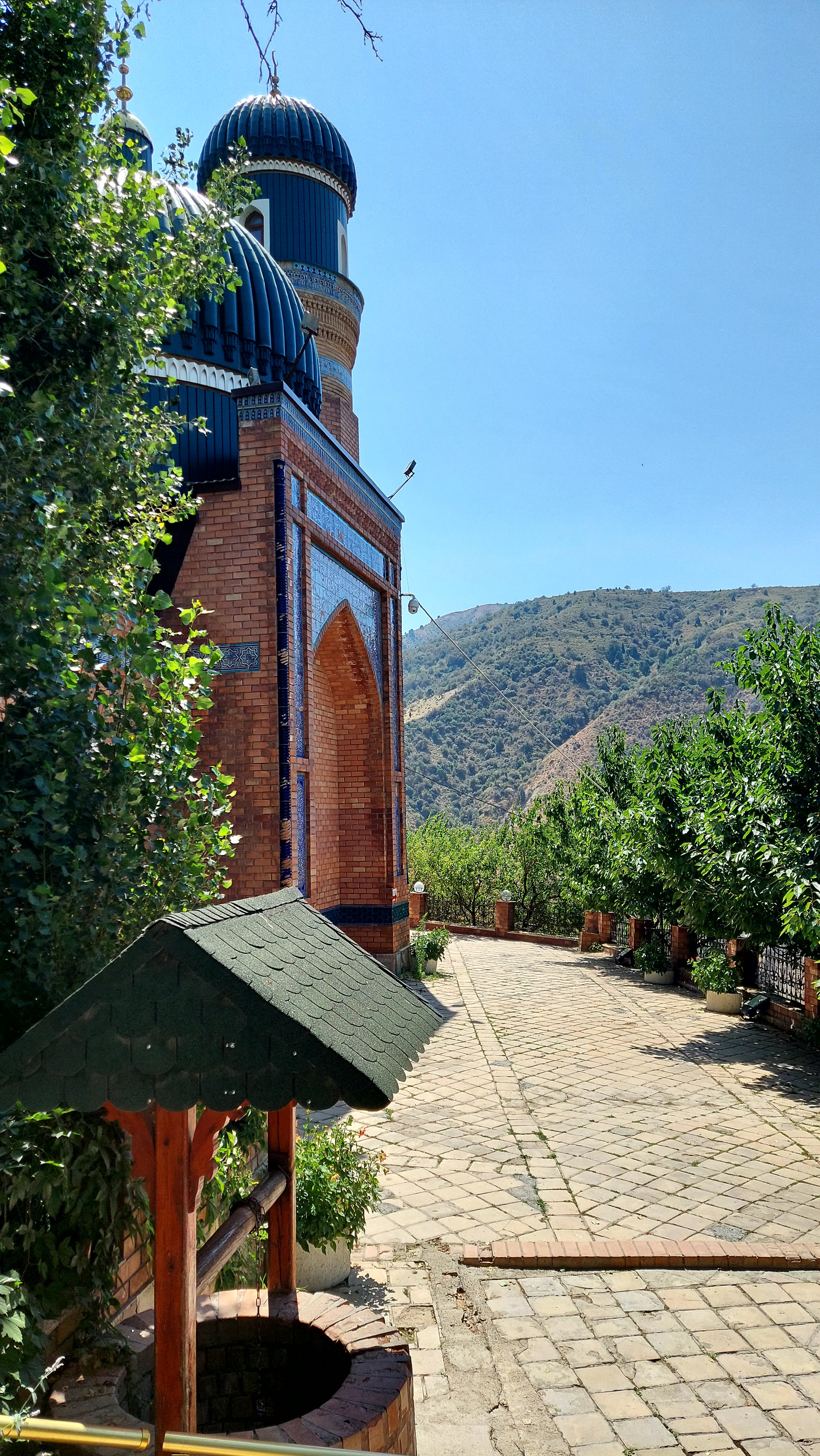 Паркентская радуга: от солнечных комплексов до виноградников (4/15)