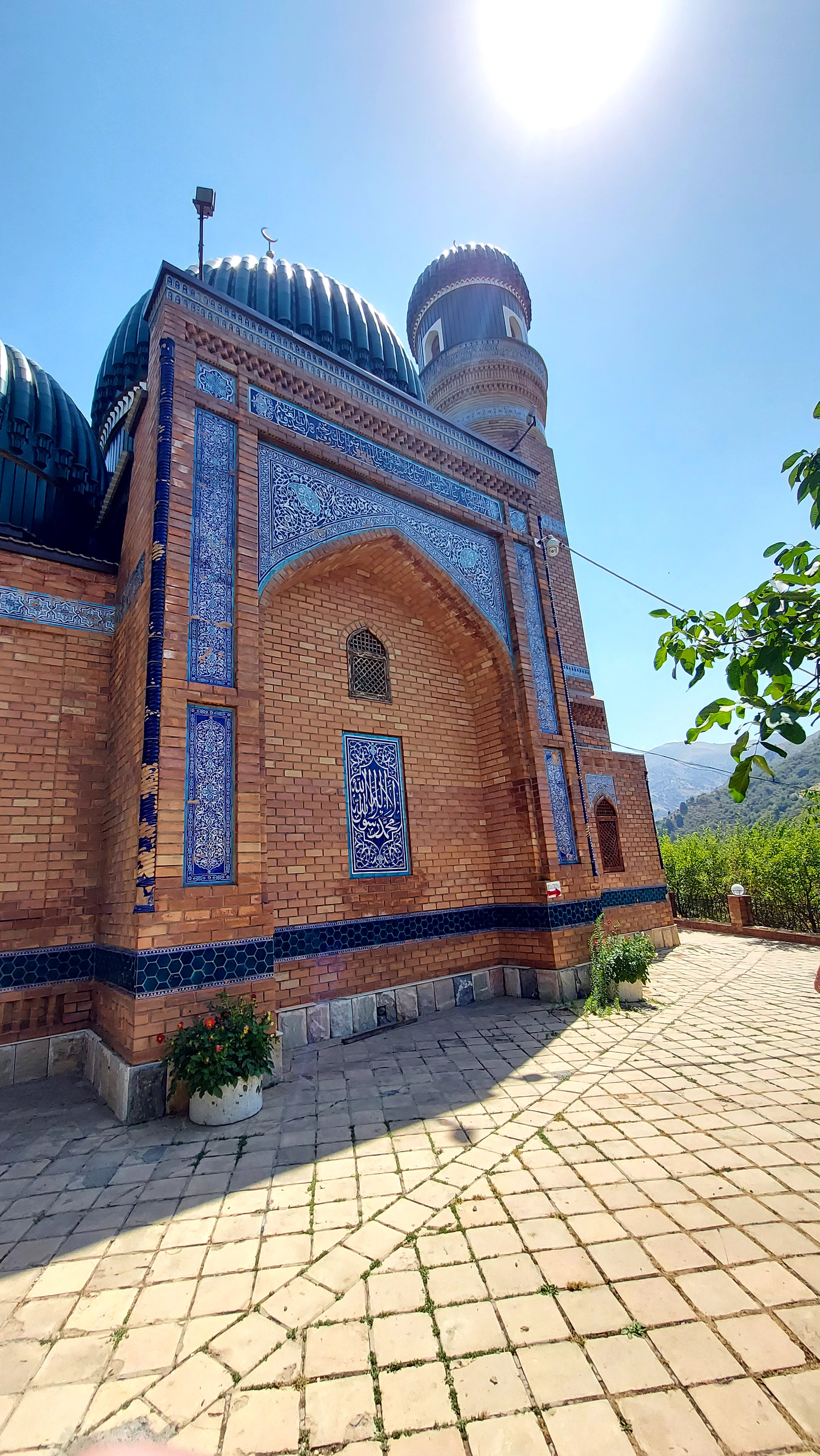 Паркентская радуга: от солнечных комплексов до виноградников (13/15)