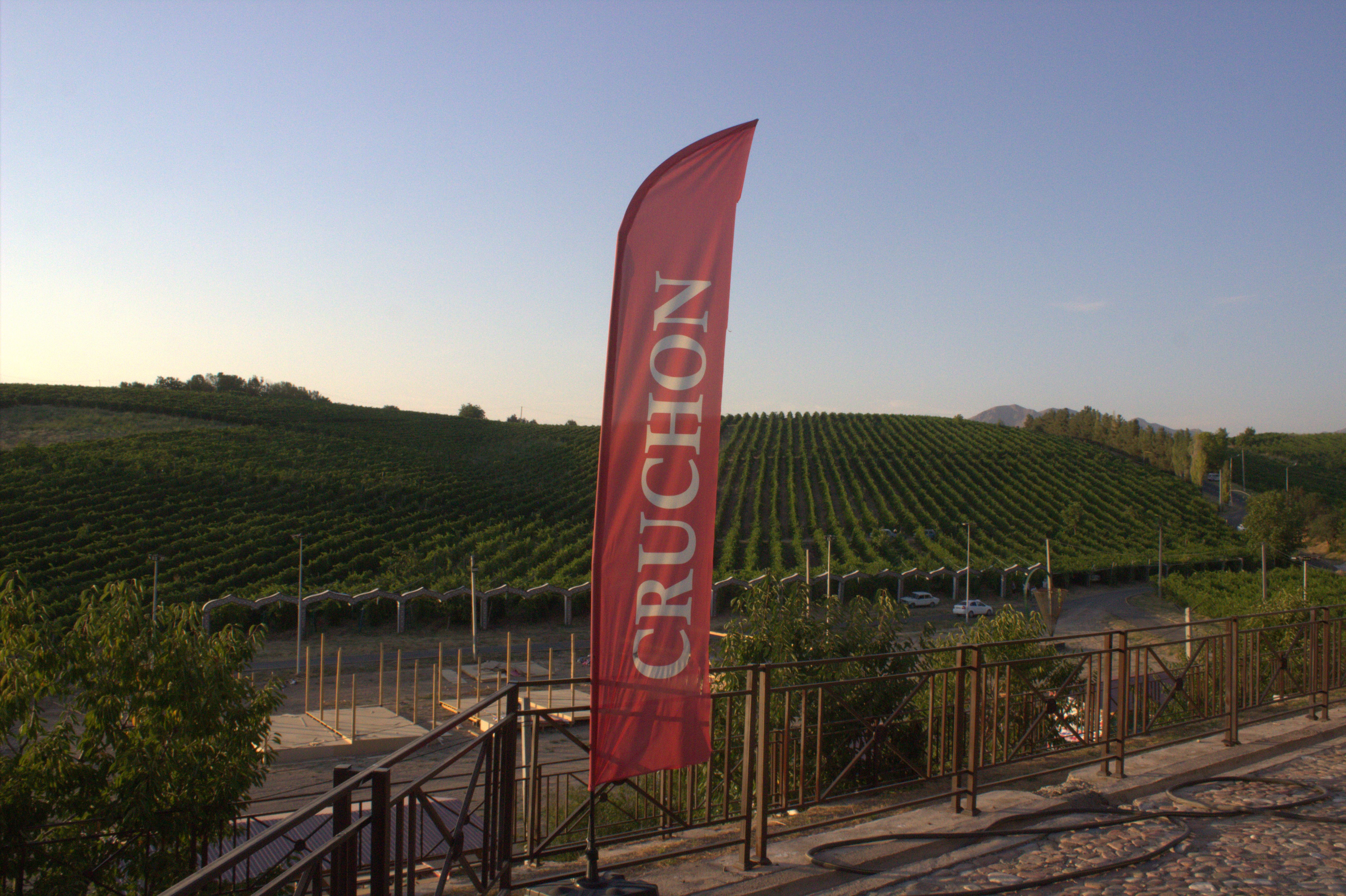 Паркентская радуга: от солнечных комплексов до виноградников (6/15)