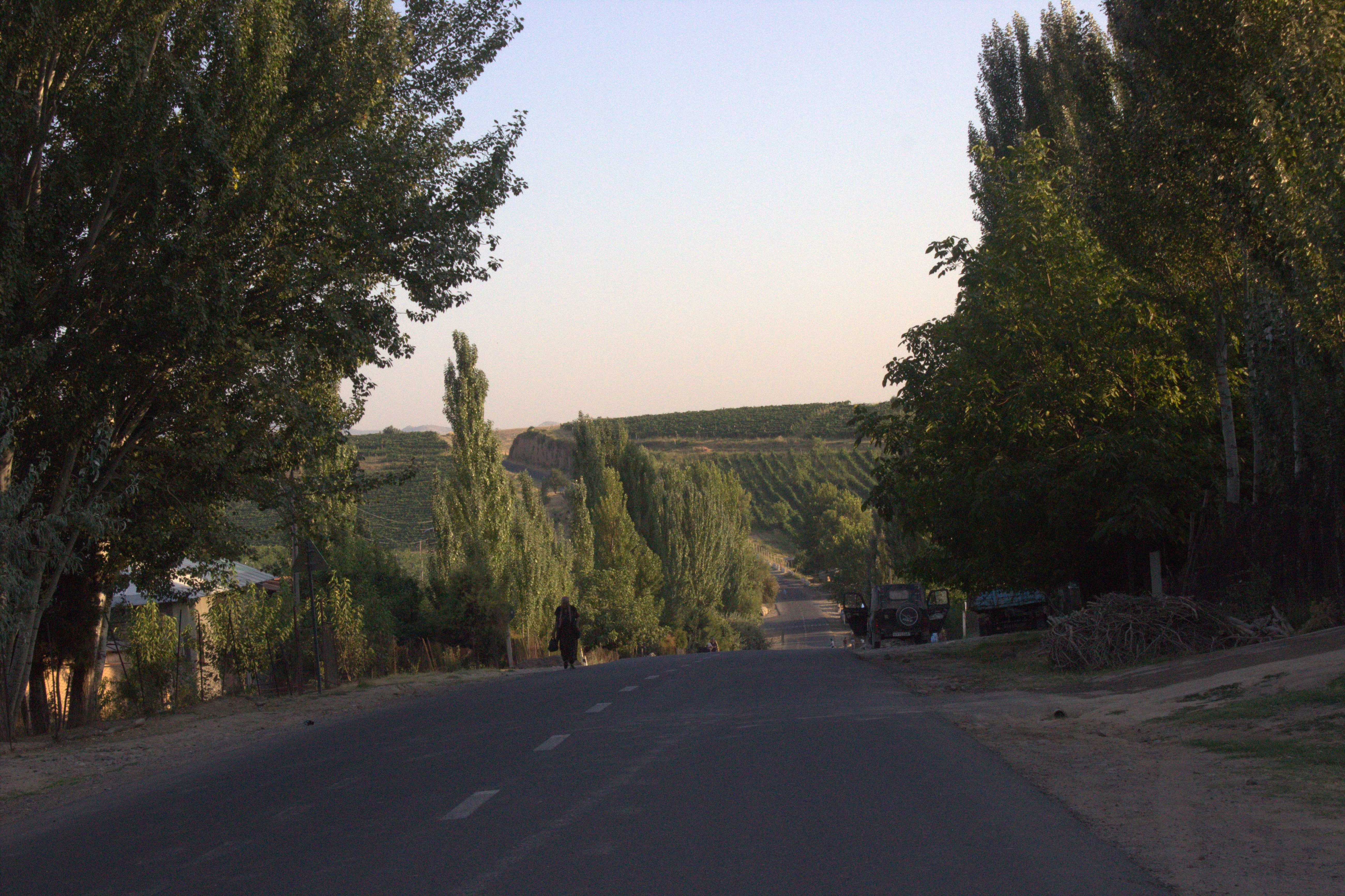 Паркентская радуга: от солнечных комплексов до виноградников (12/15)