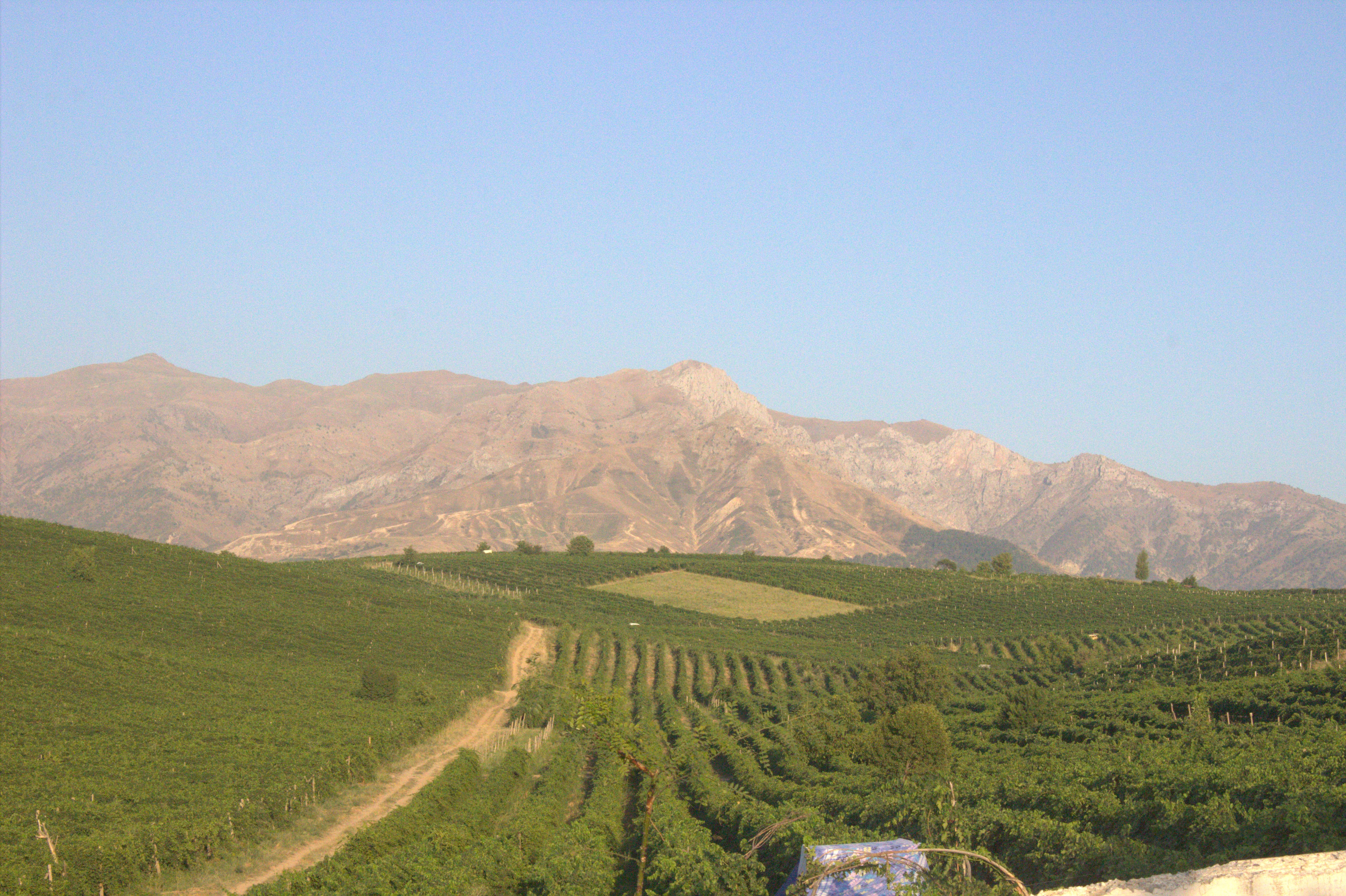 Паркентская радуга: от солнечных комплексов до виноградников (8/15)