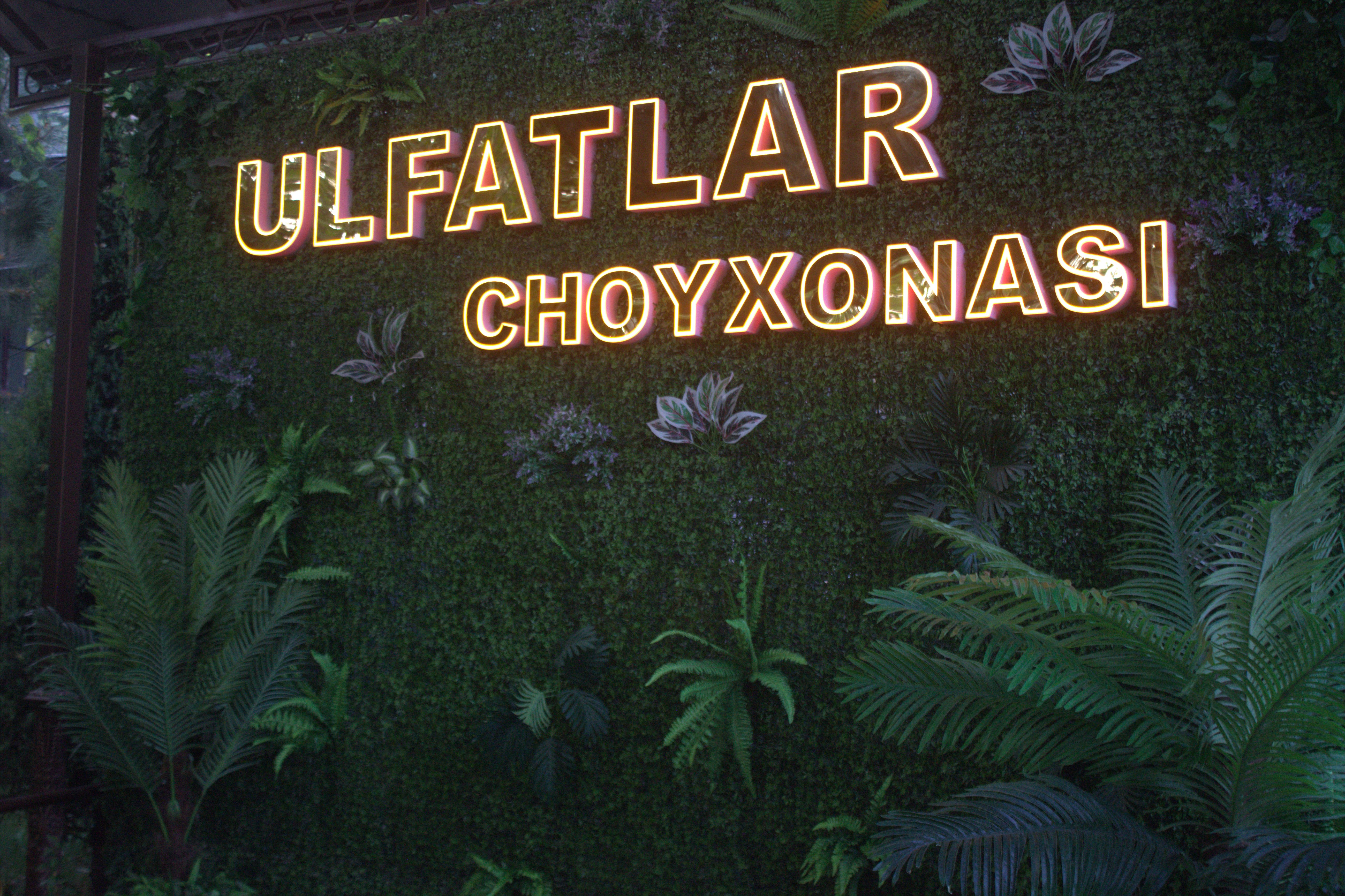 Паркентская радуга: от солнечных комплексов до виноградников (9/15)