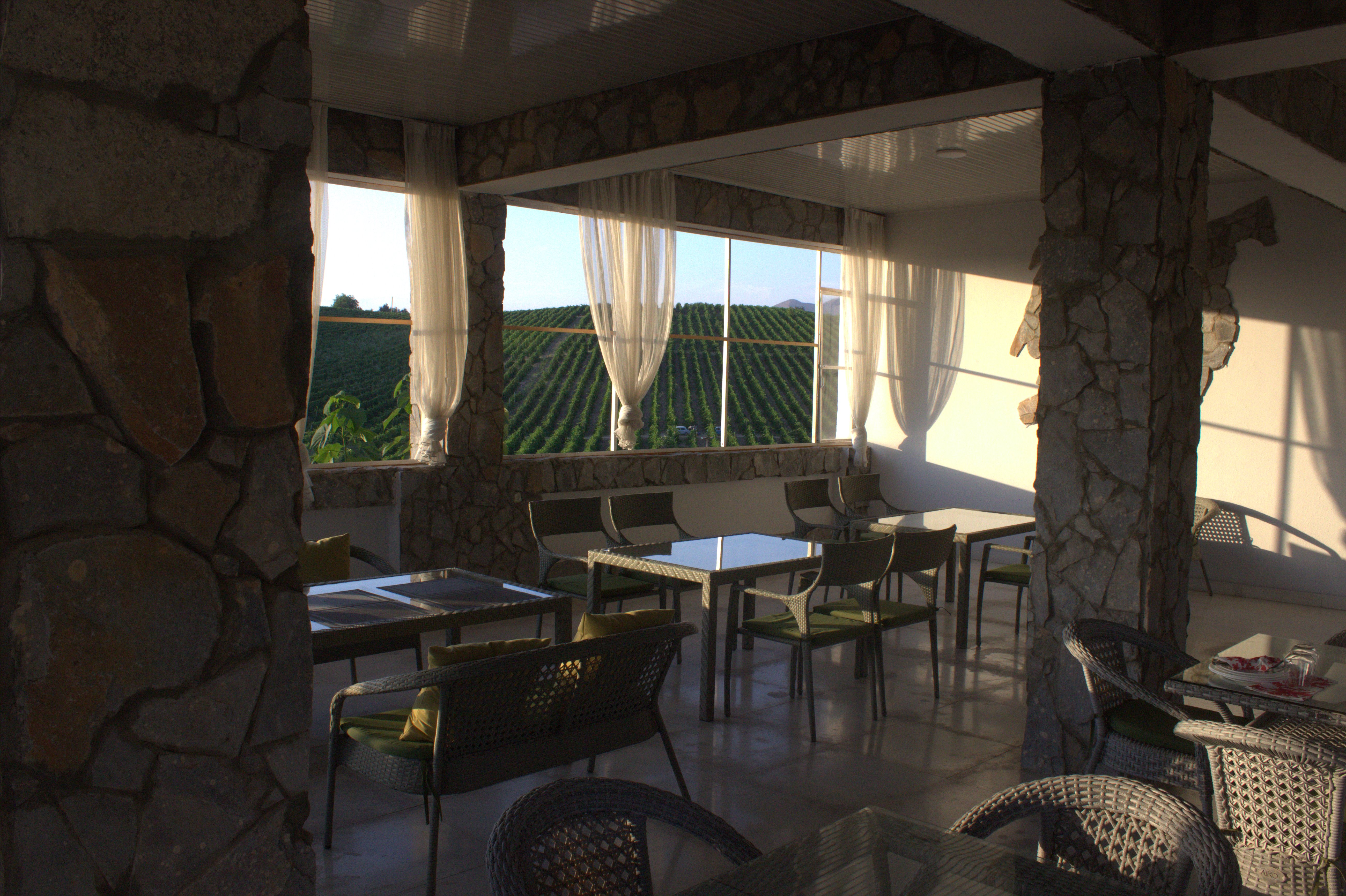 Паркентская радуга: от солнечных комплексов до виноградников (14/15)