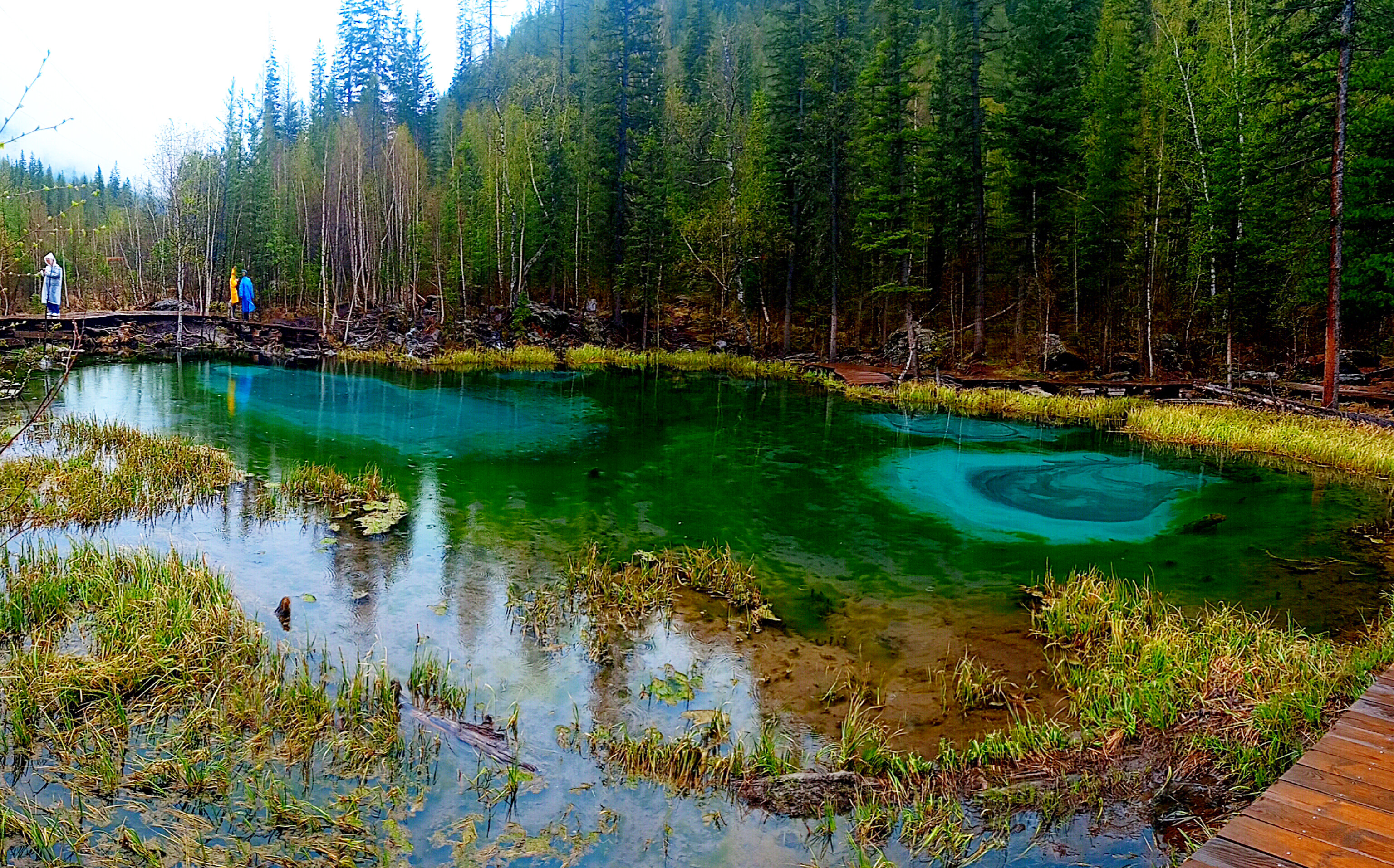 Кольцо Алтая (4/34)