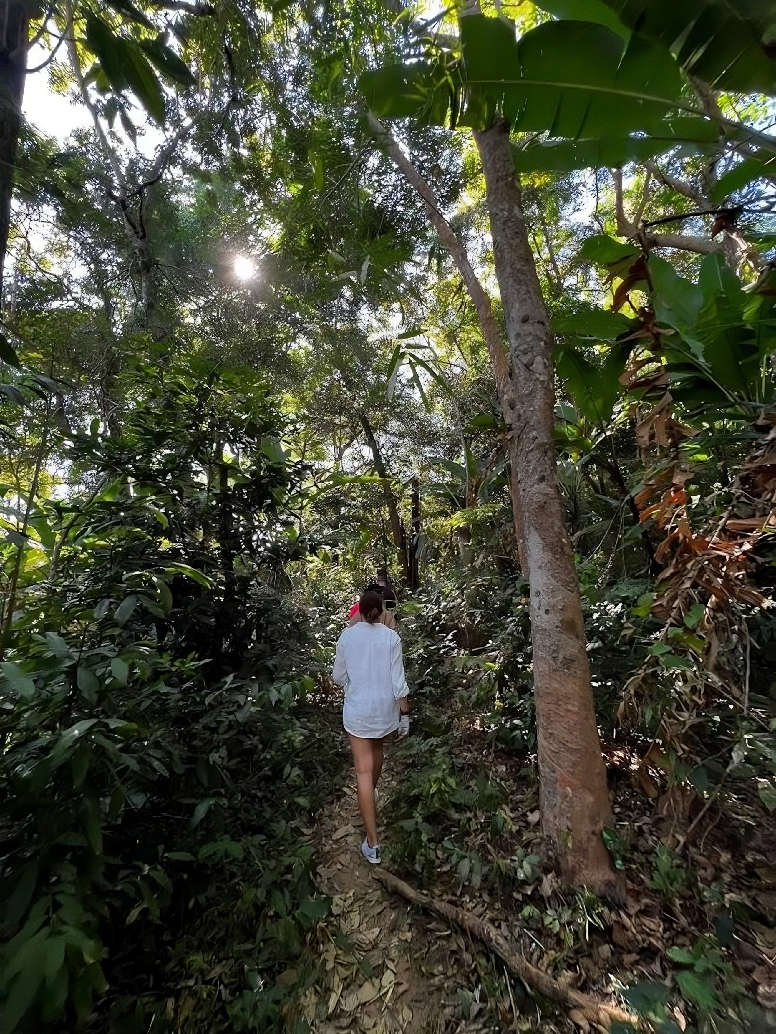 Трекинг в джунглях Пхукета (3/14)