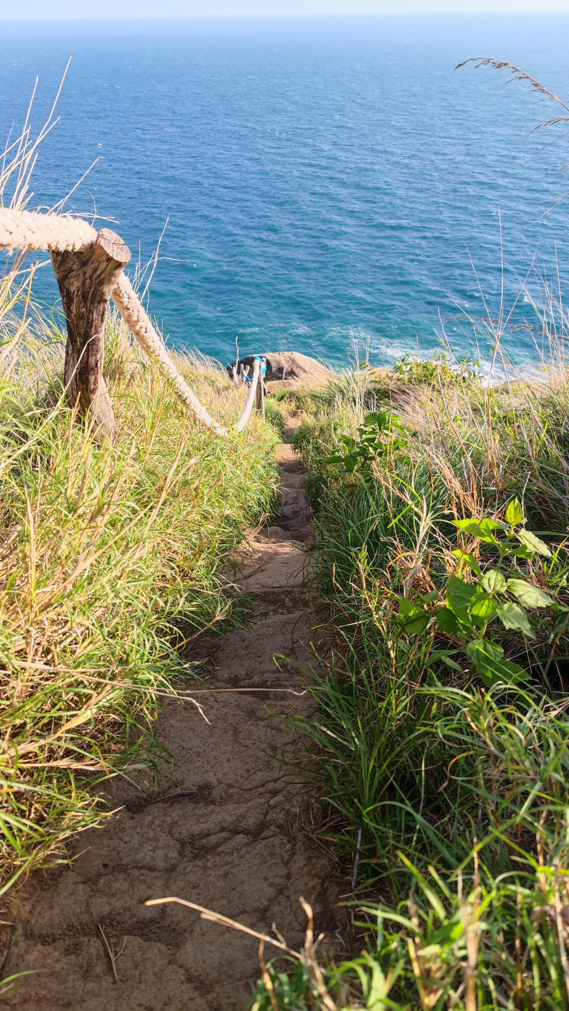 Трекинг в джунглях Пхукета (11/14)