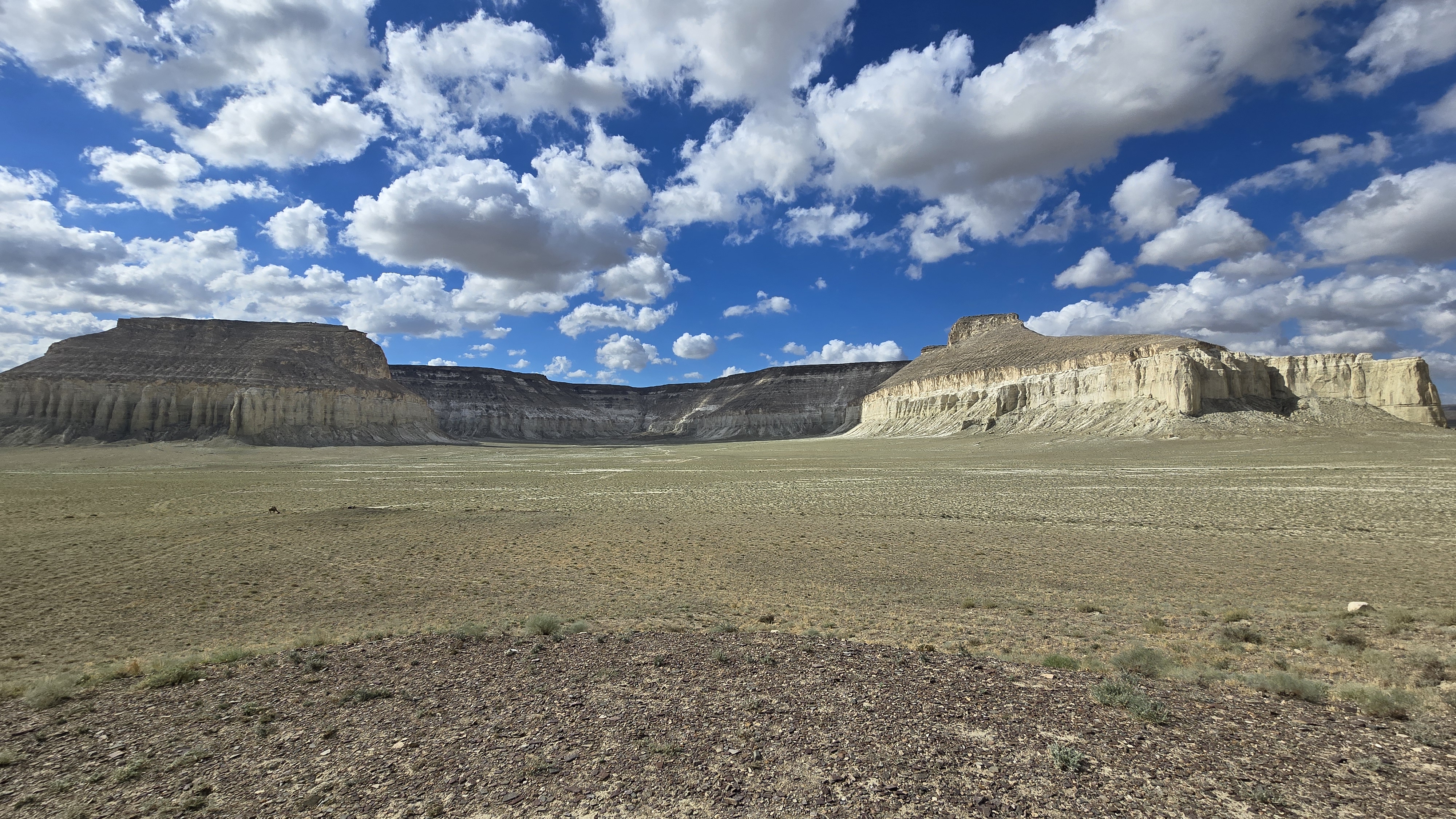 Путешествие по дну океана Тетис Джип-тур 5 дней по Мангистау (18/21)