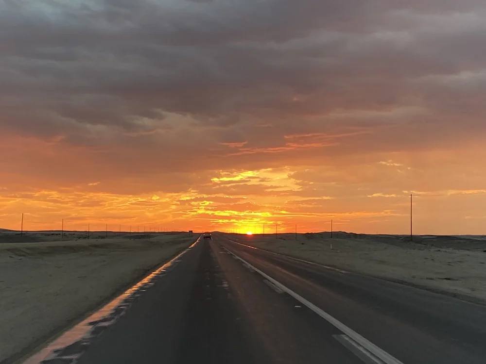 Идеальный тур по Намибии: пустыни, океан, животные