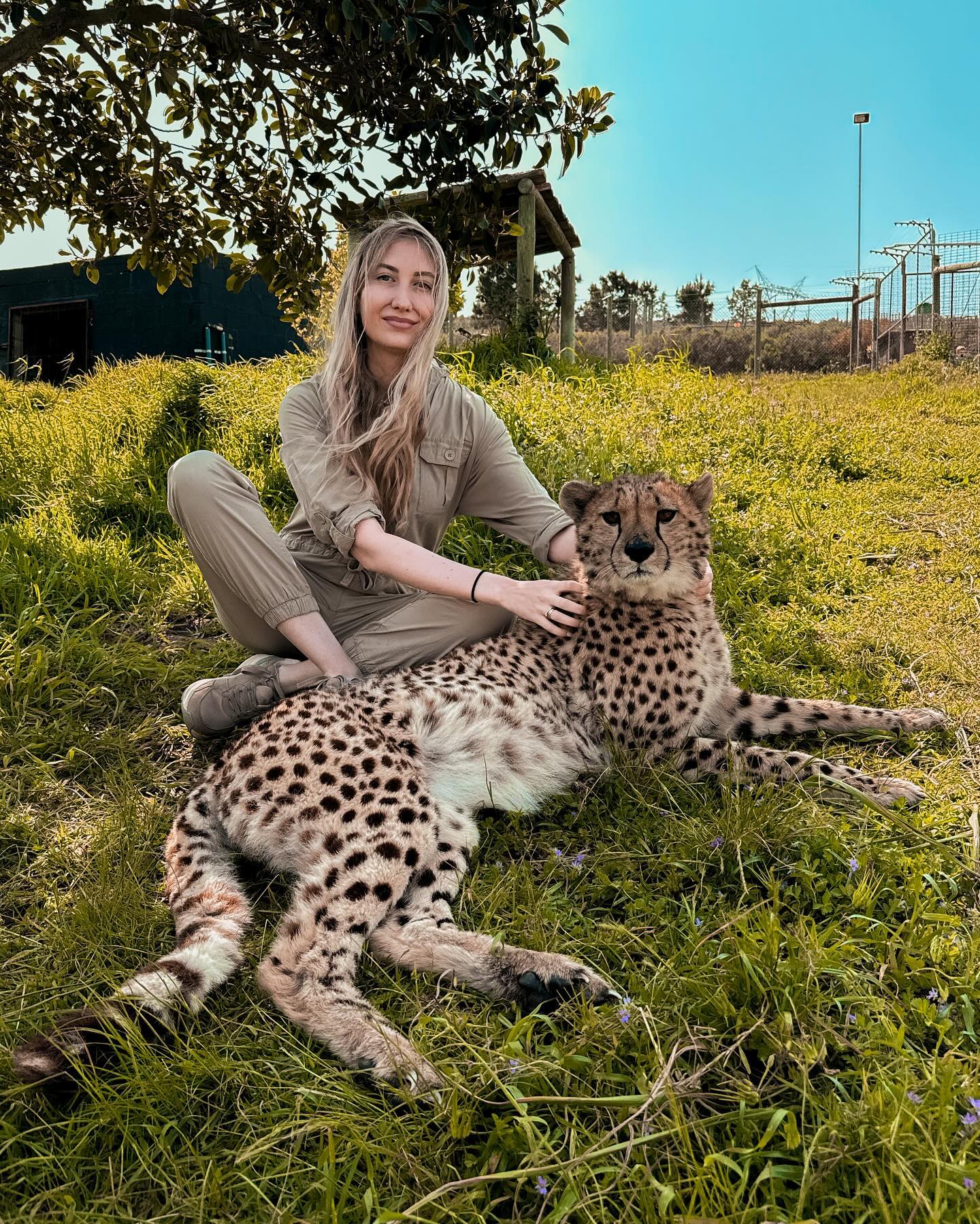 Водопад Виктория, Юар и сафари в Ботсване - тур по 4 странам (2/36)