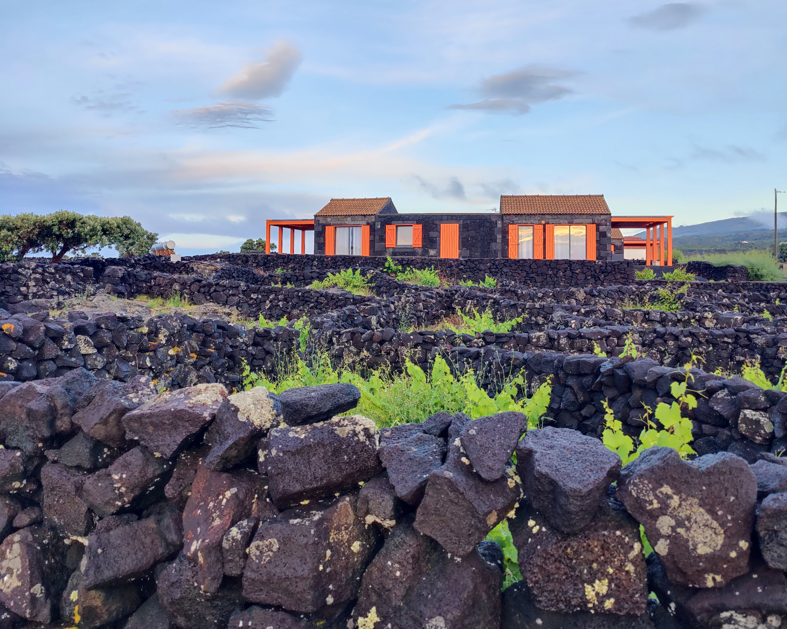 Азорские острова: природа и океан (29/38)