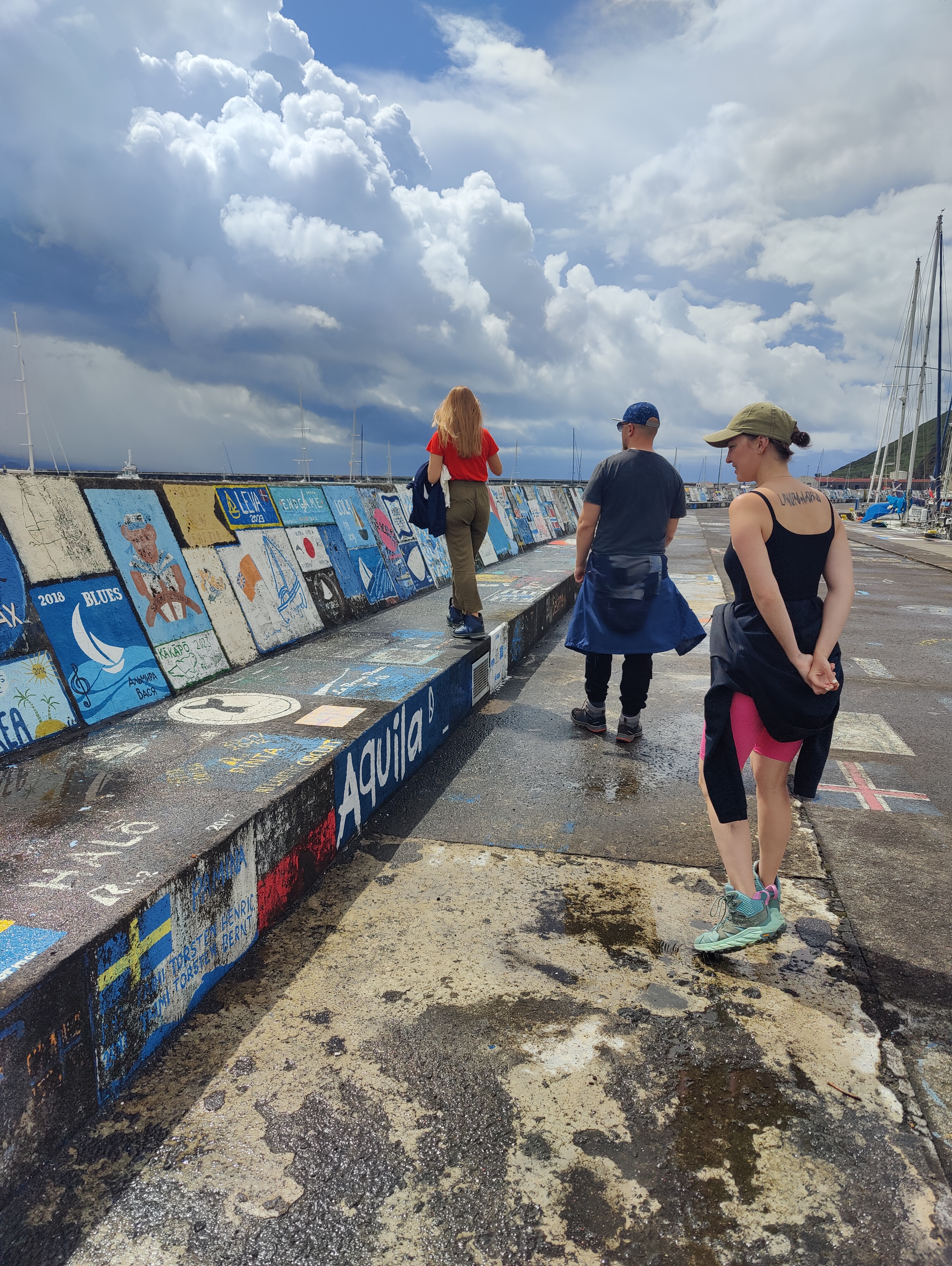 Азорские острова: природа и океан (23/38)