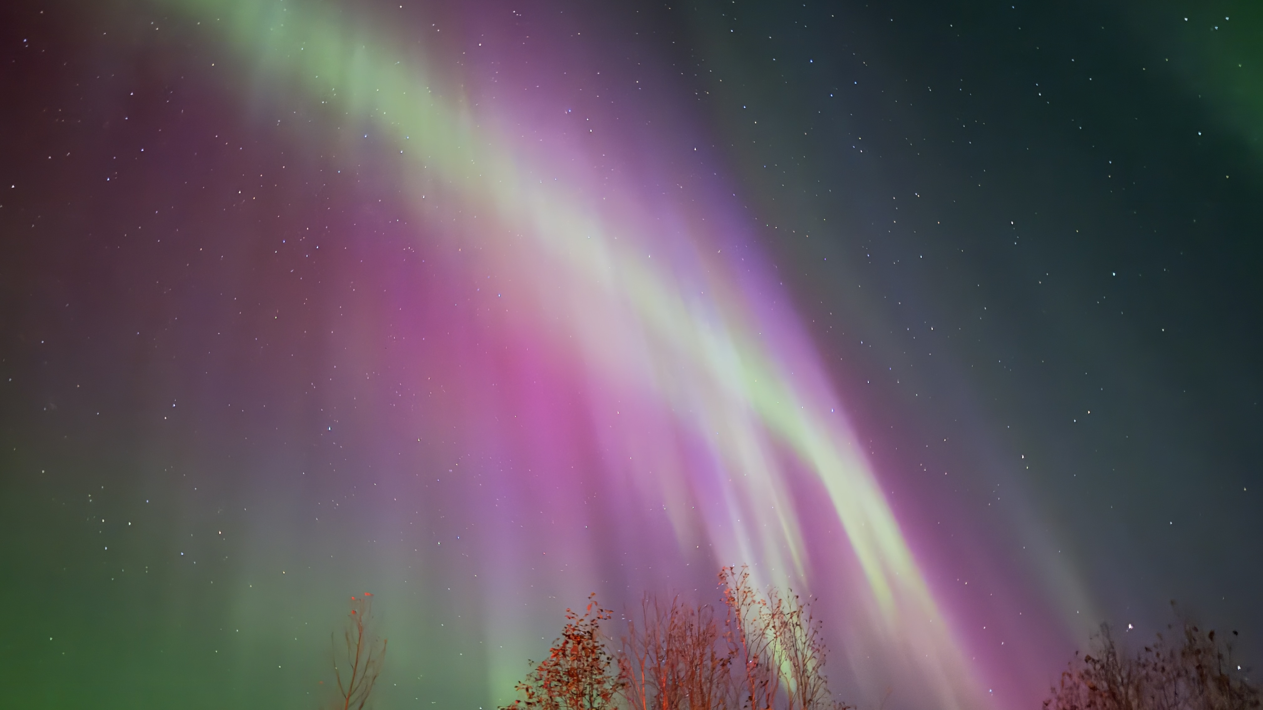 Небесный танец Авроры : охота на северное сияние (25/28)