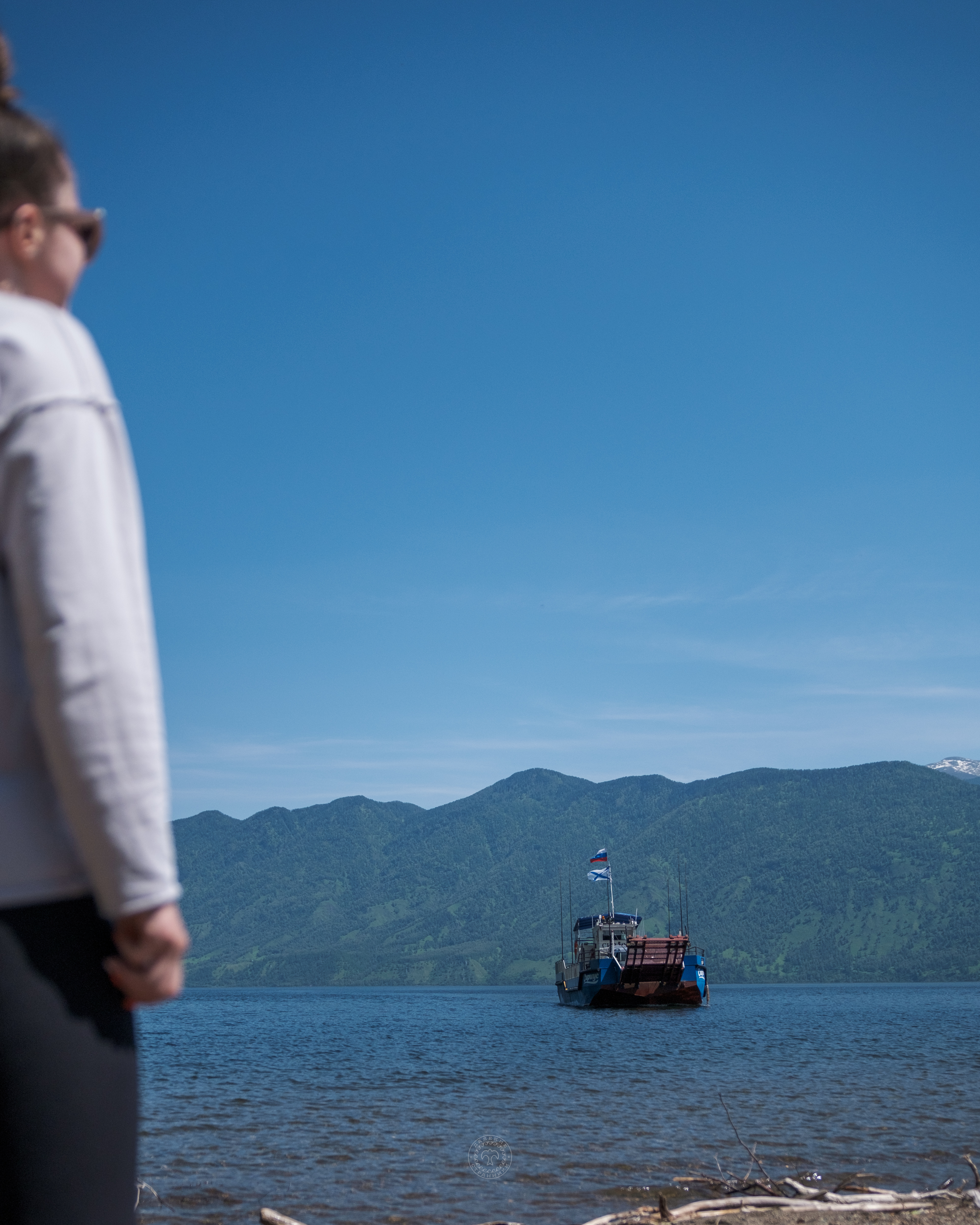 Дорога в Курайскую степь