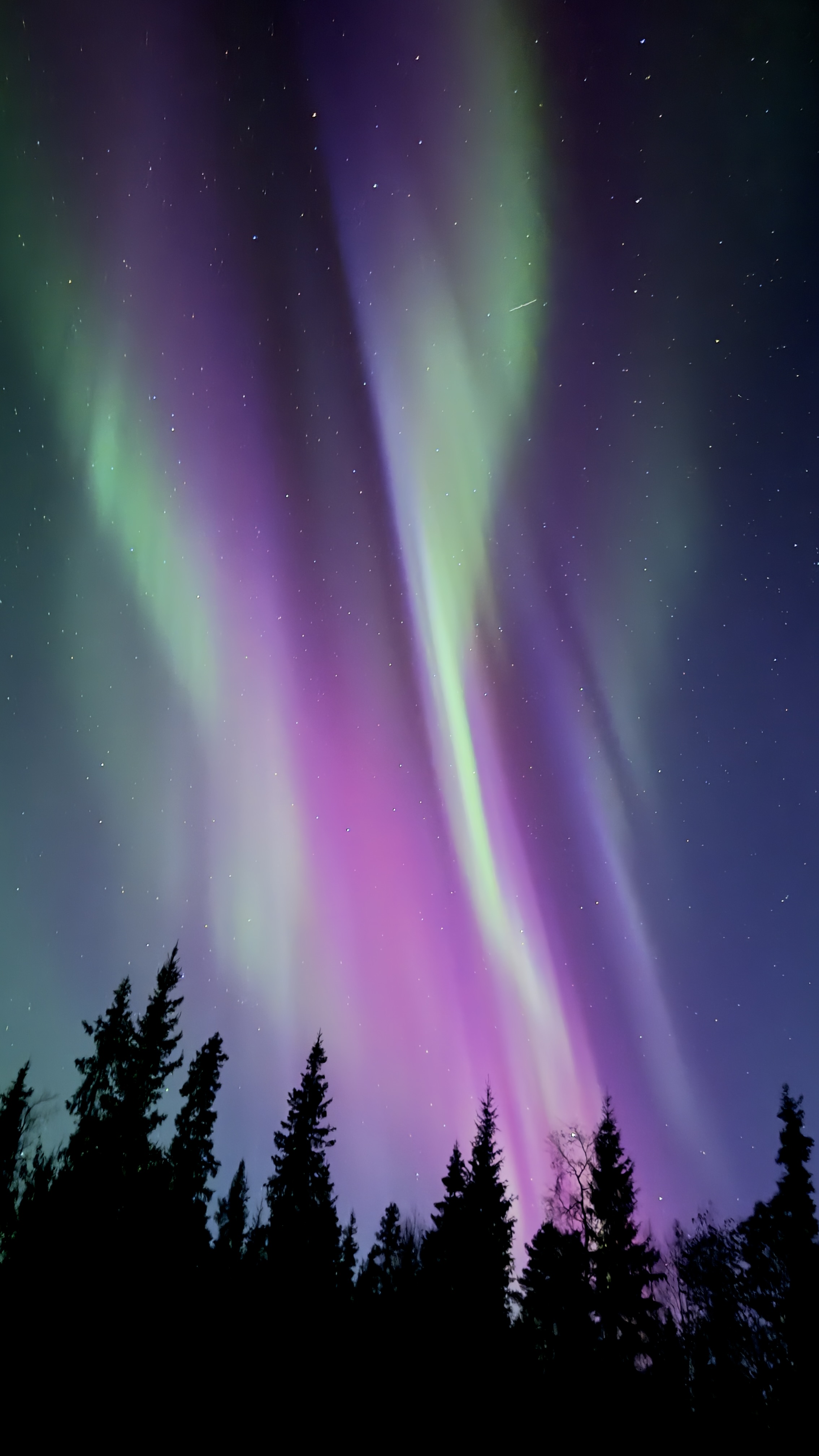 Небесный танец Авроры : охота на северное сияние (11/28)