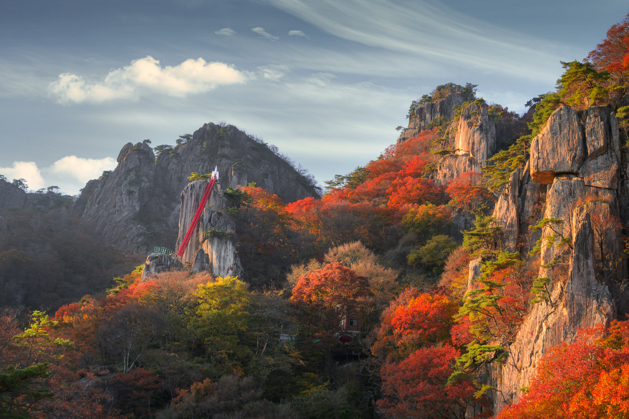 Красные клены и императорские дворцы (35/60)