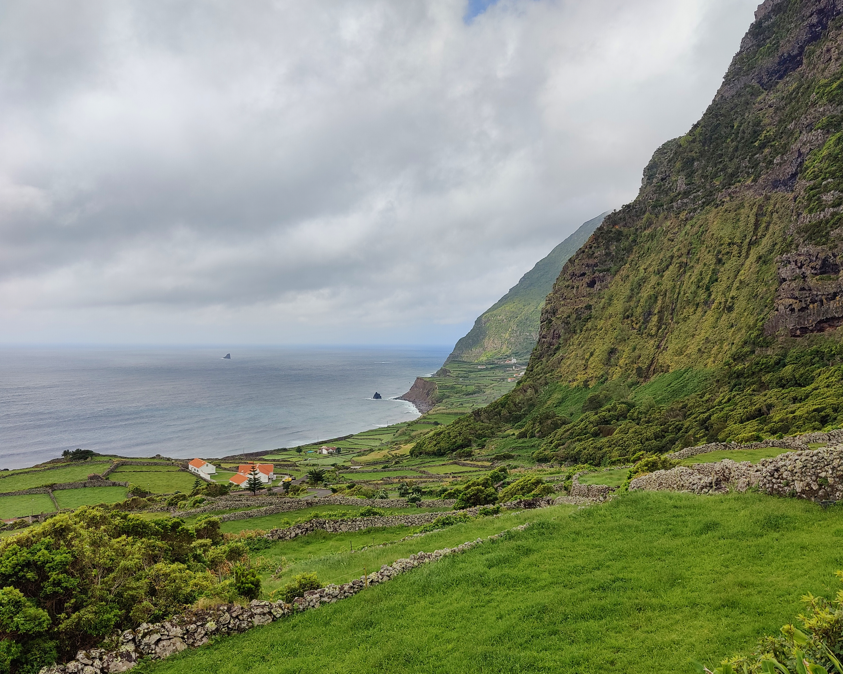 Азорские острова: природа и океан (16/38)