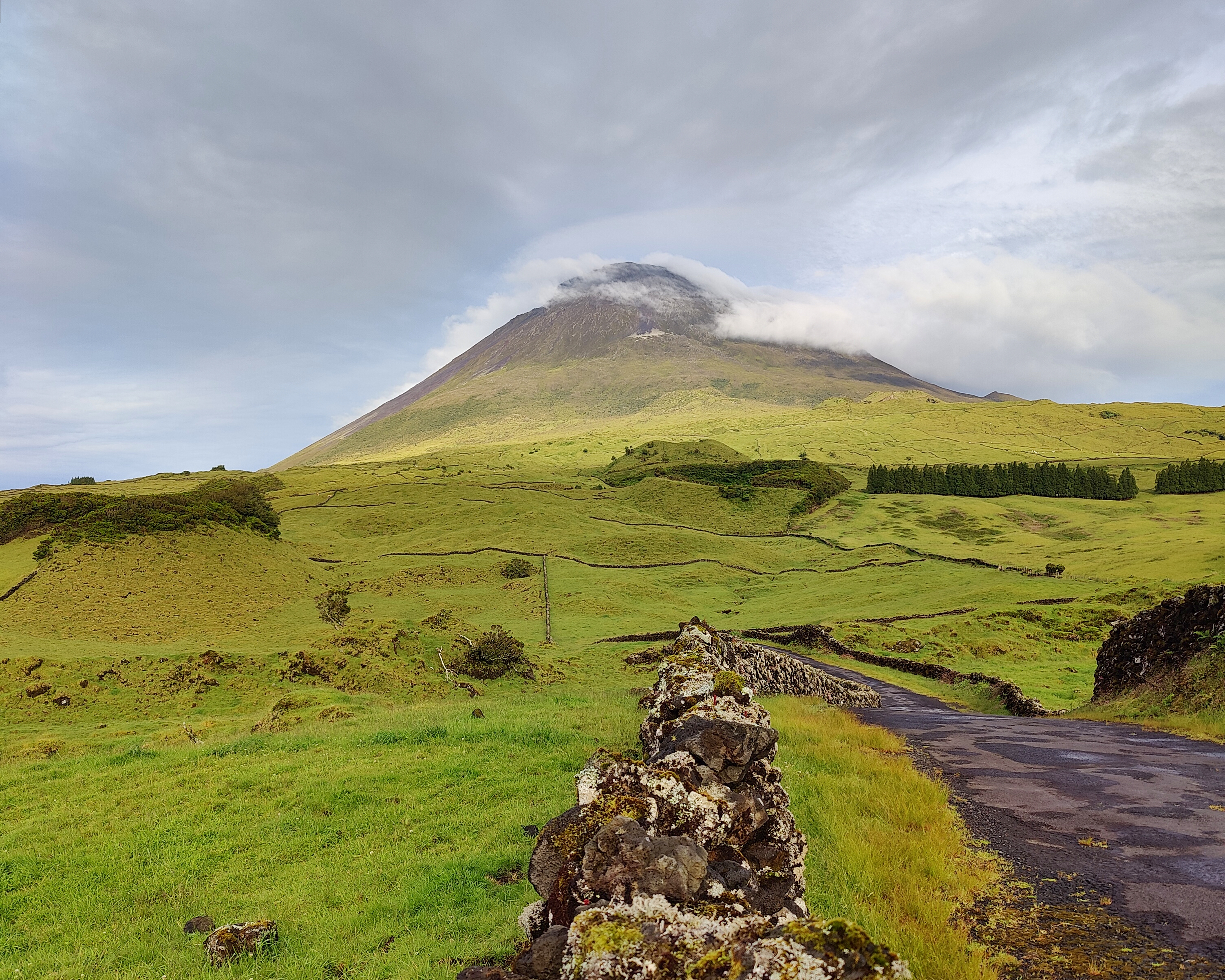 Азорские острова: природа и океан (26/38)