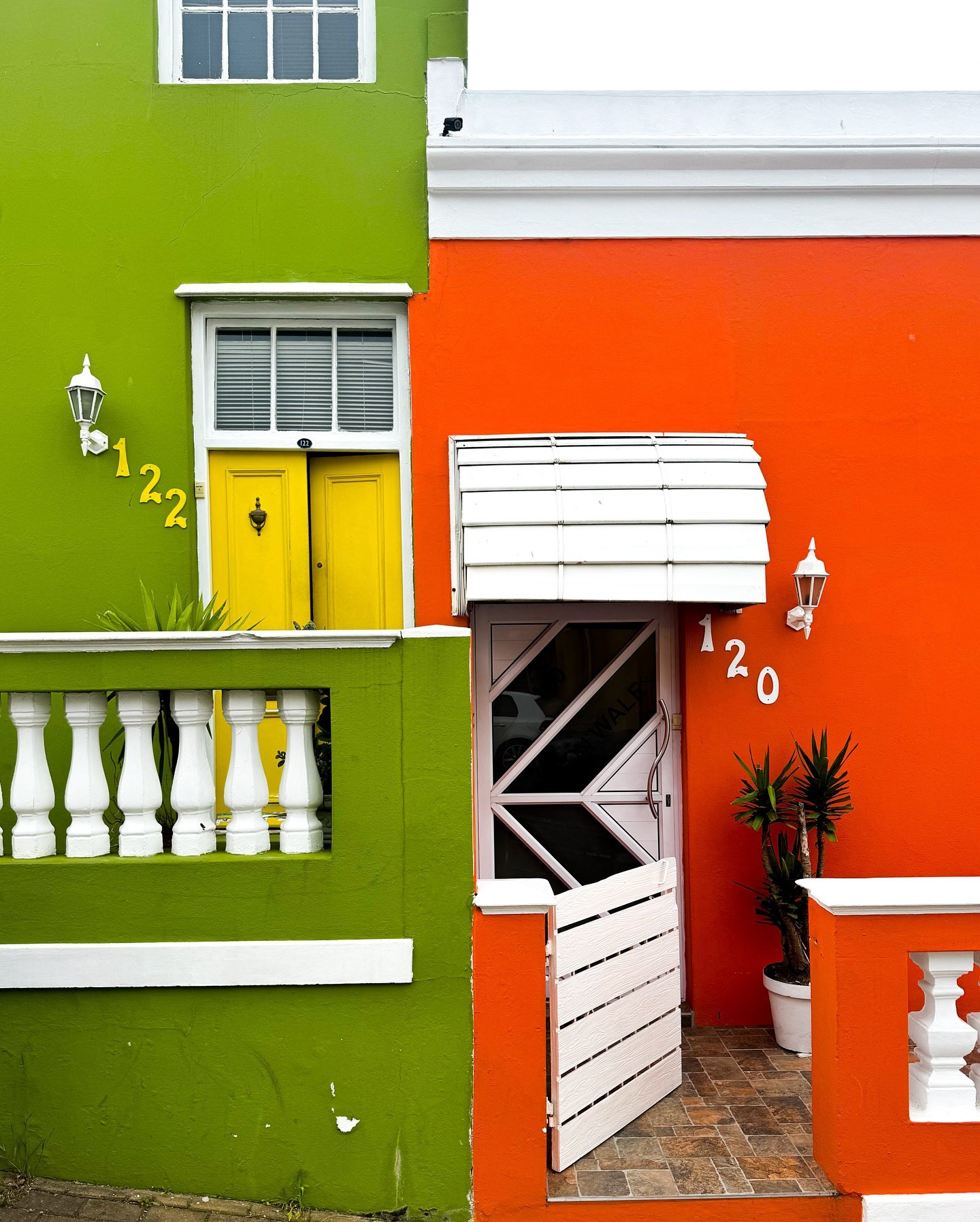 Киты в Юар - продуманный тур с авиабилетами без хаоса и рисков (5/42)