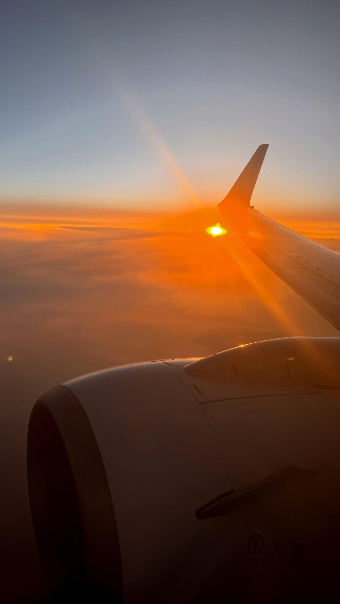 Киты в Юар - продуманный тур с авиабилетами без хаоса и рисков (16/42)