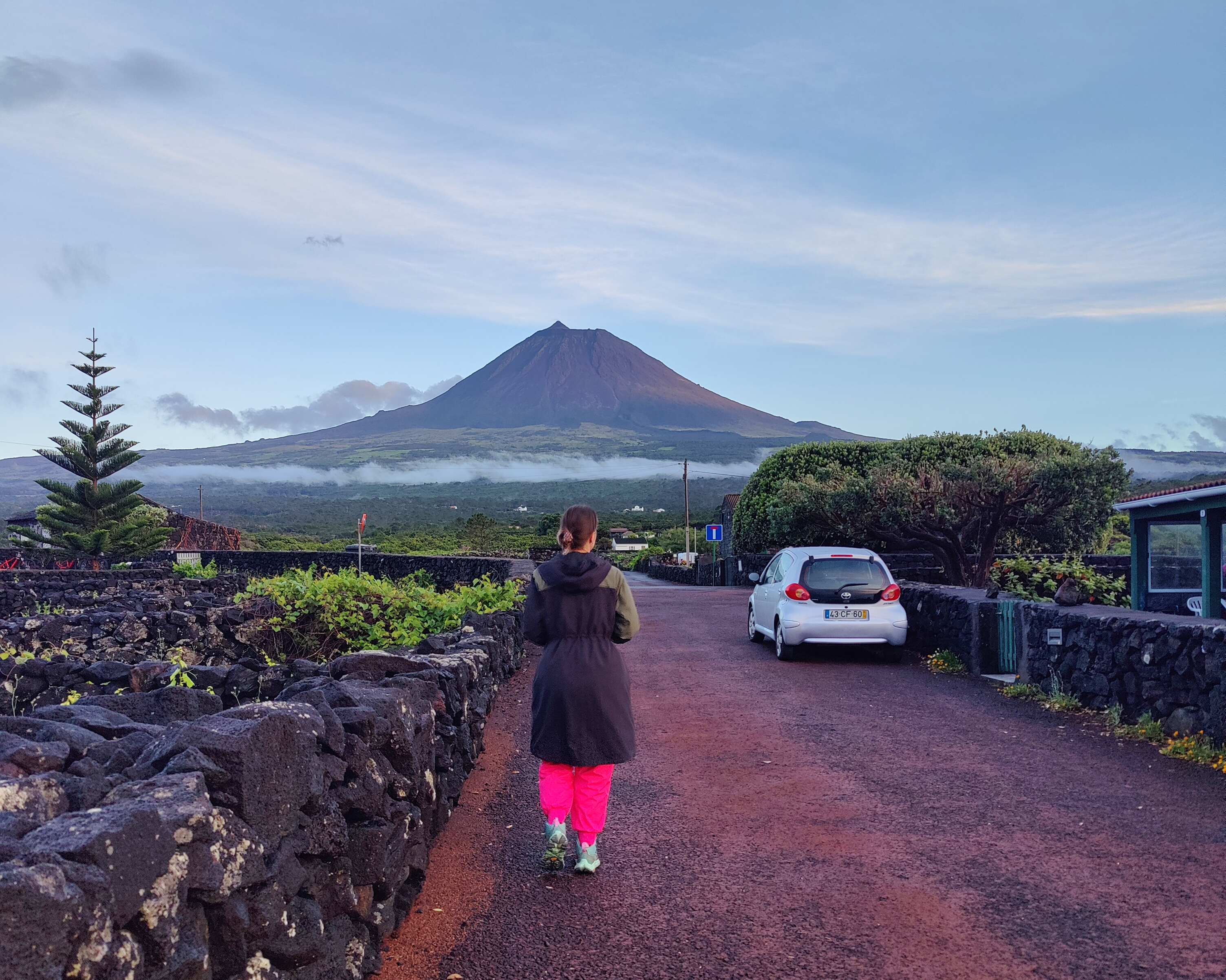 Азорские острова: природа и океан (28/38)