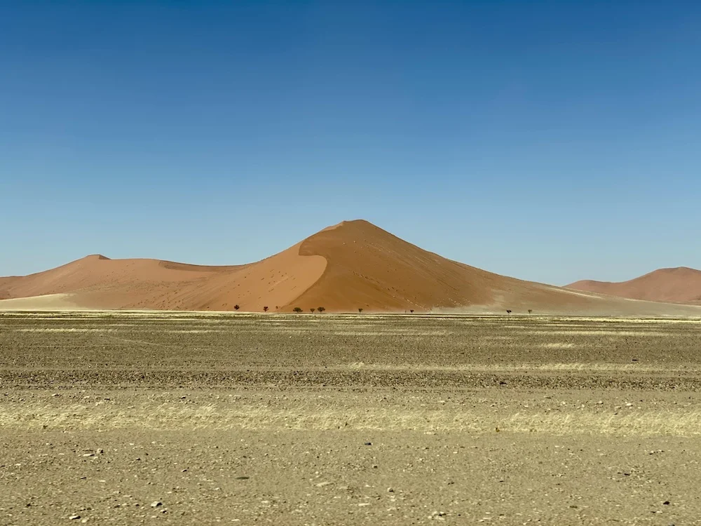 Идеальный тур по Намибии: пустыни, океан, животные