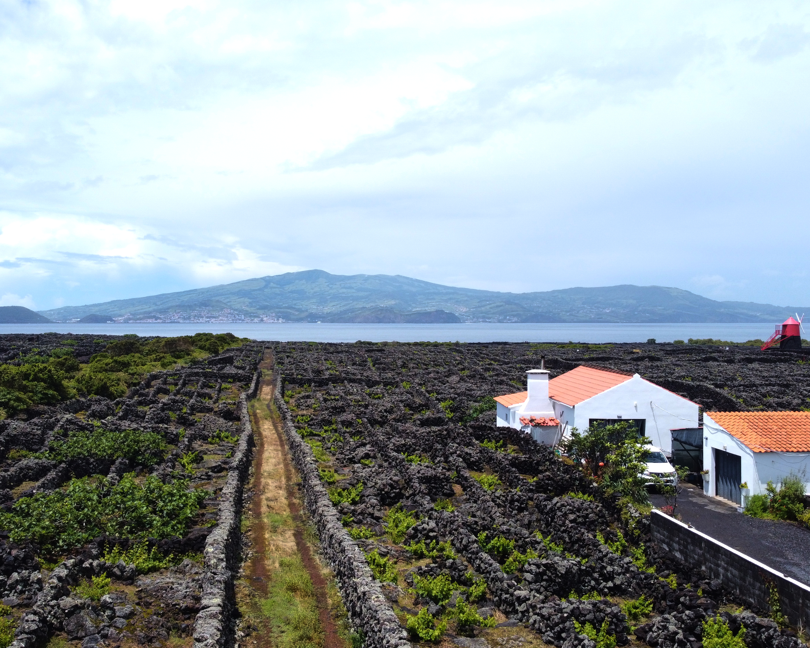 Азорские острова: природа и океан (30/38)