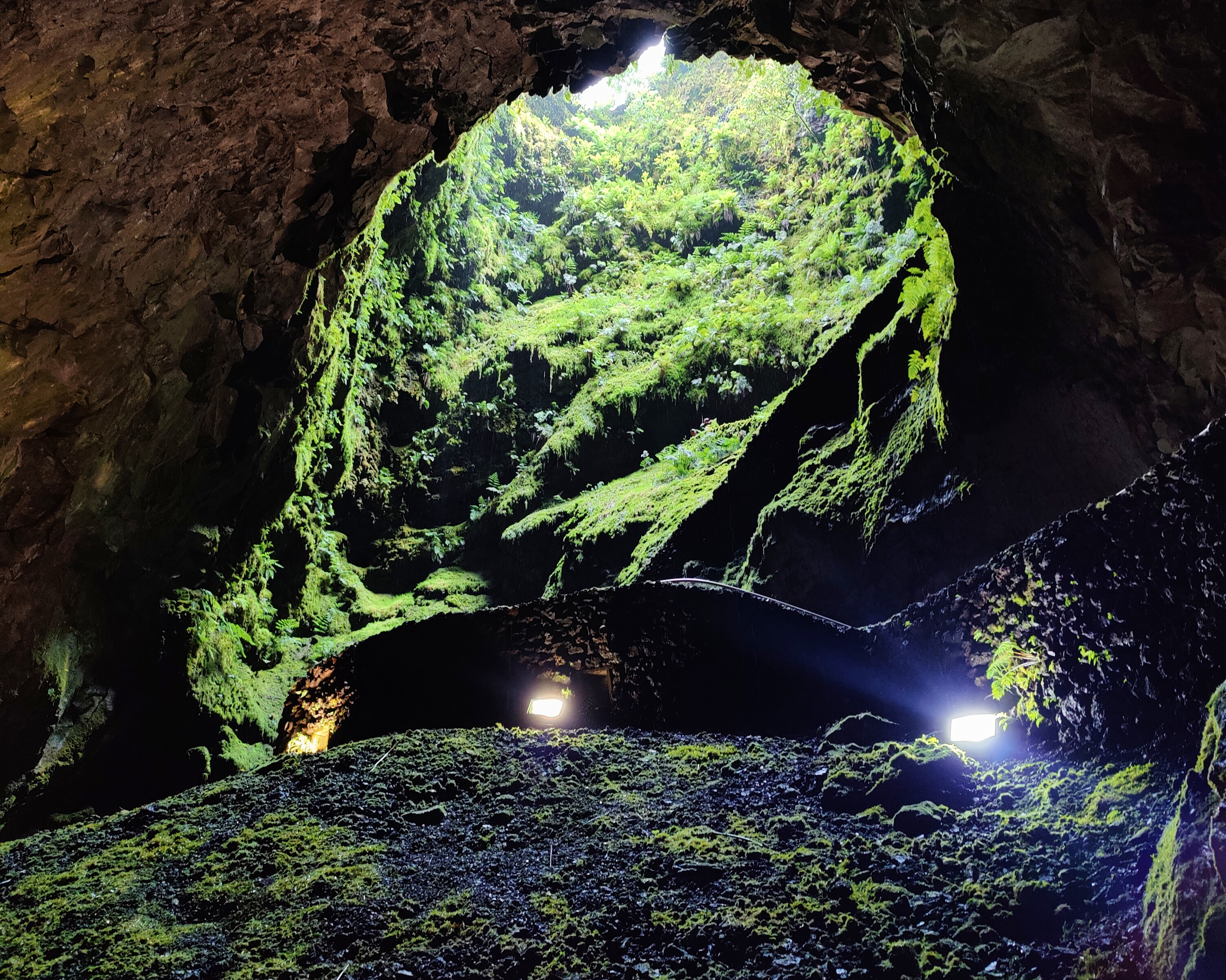 Азорские острова: природа и океан (35/38)