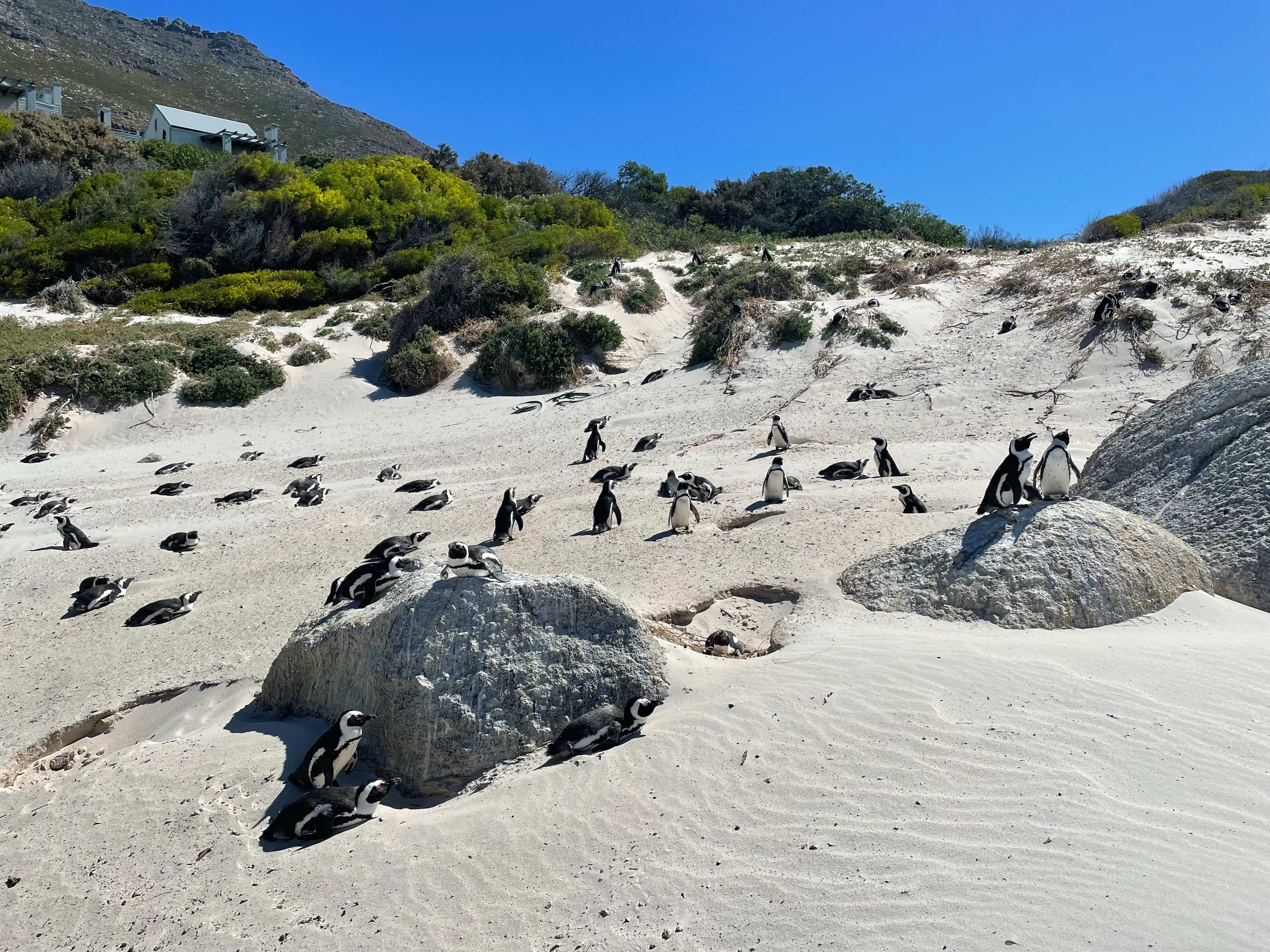 Юар для гедонистов и визуалов (10/33)