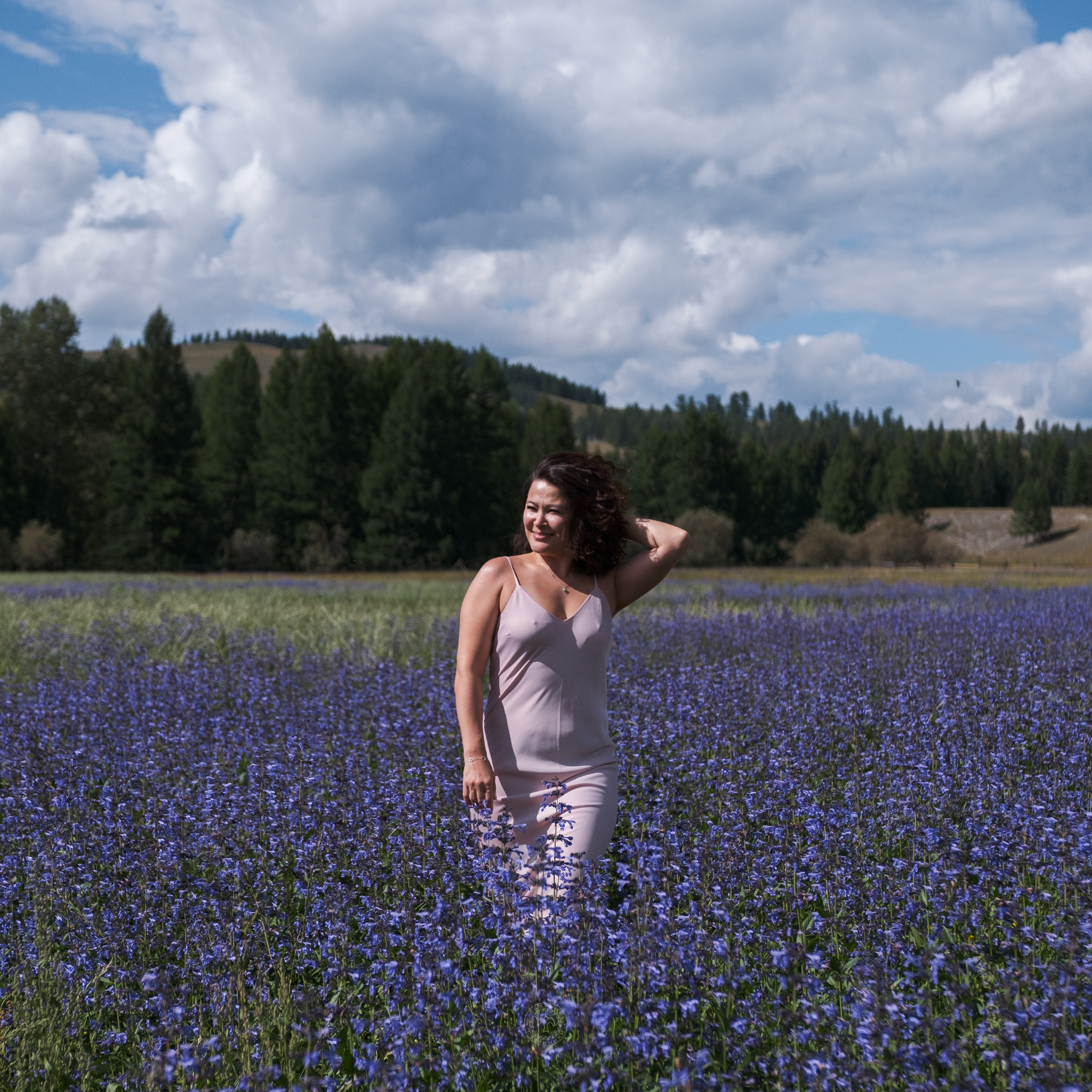 Алтай. Южный берег Телецкого озера