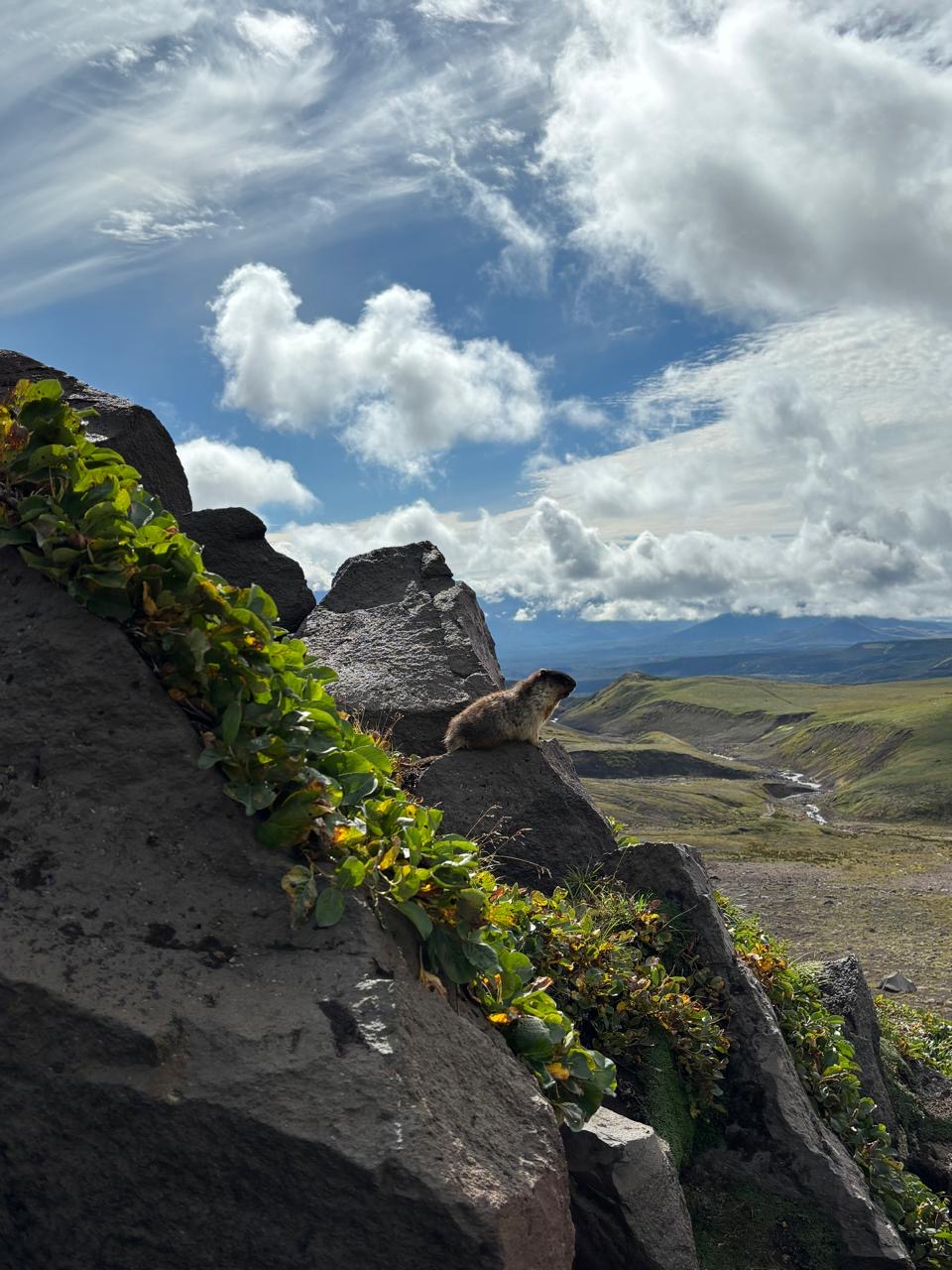 Легендарные Маршруты Камчатки (34/91)