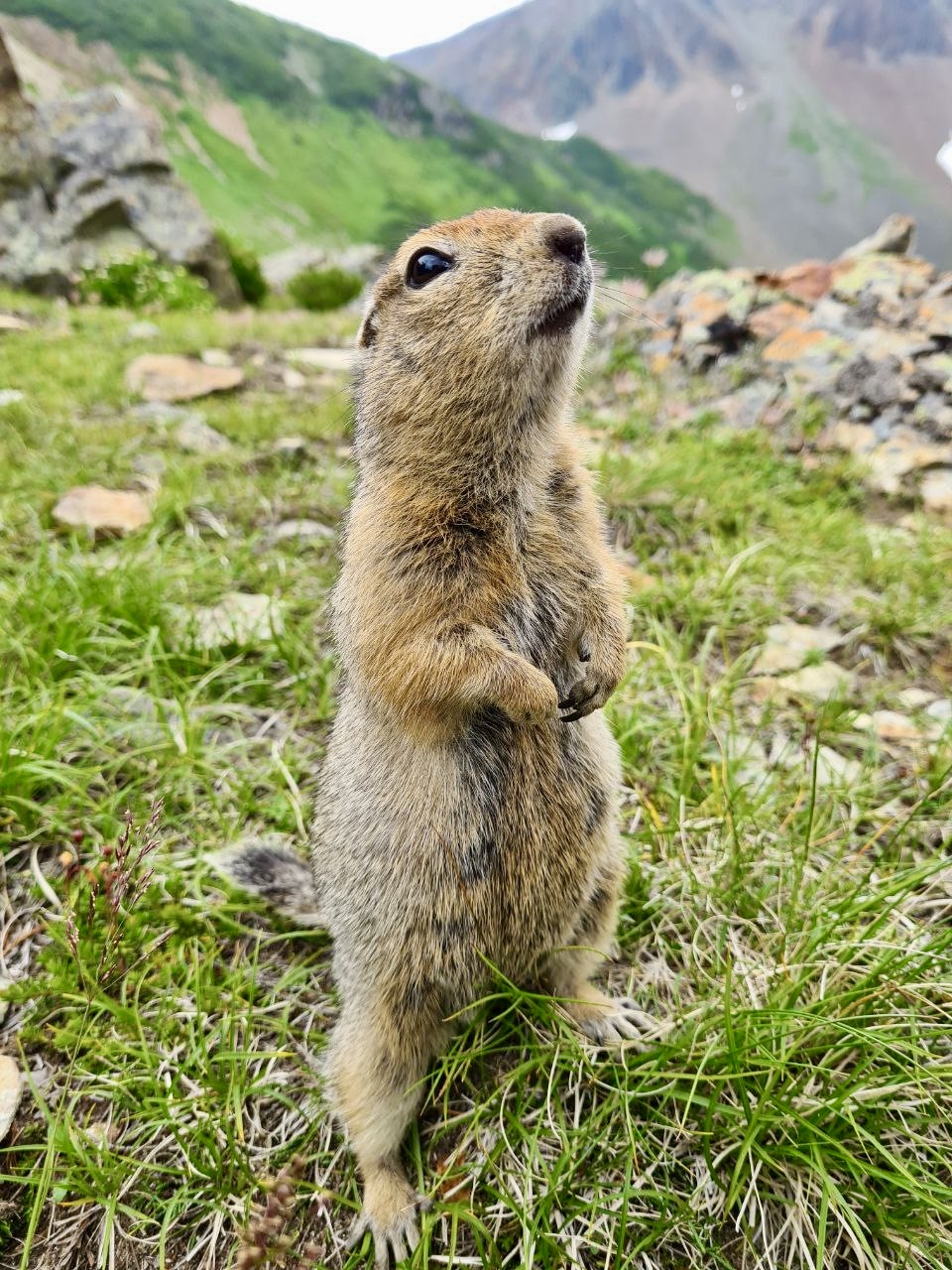 Земля Камчатка. Вулканы, киты, медведи, термальные источники. Джип-тур 2026 (38/86)