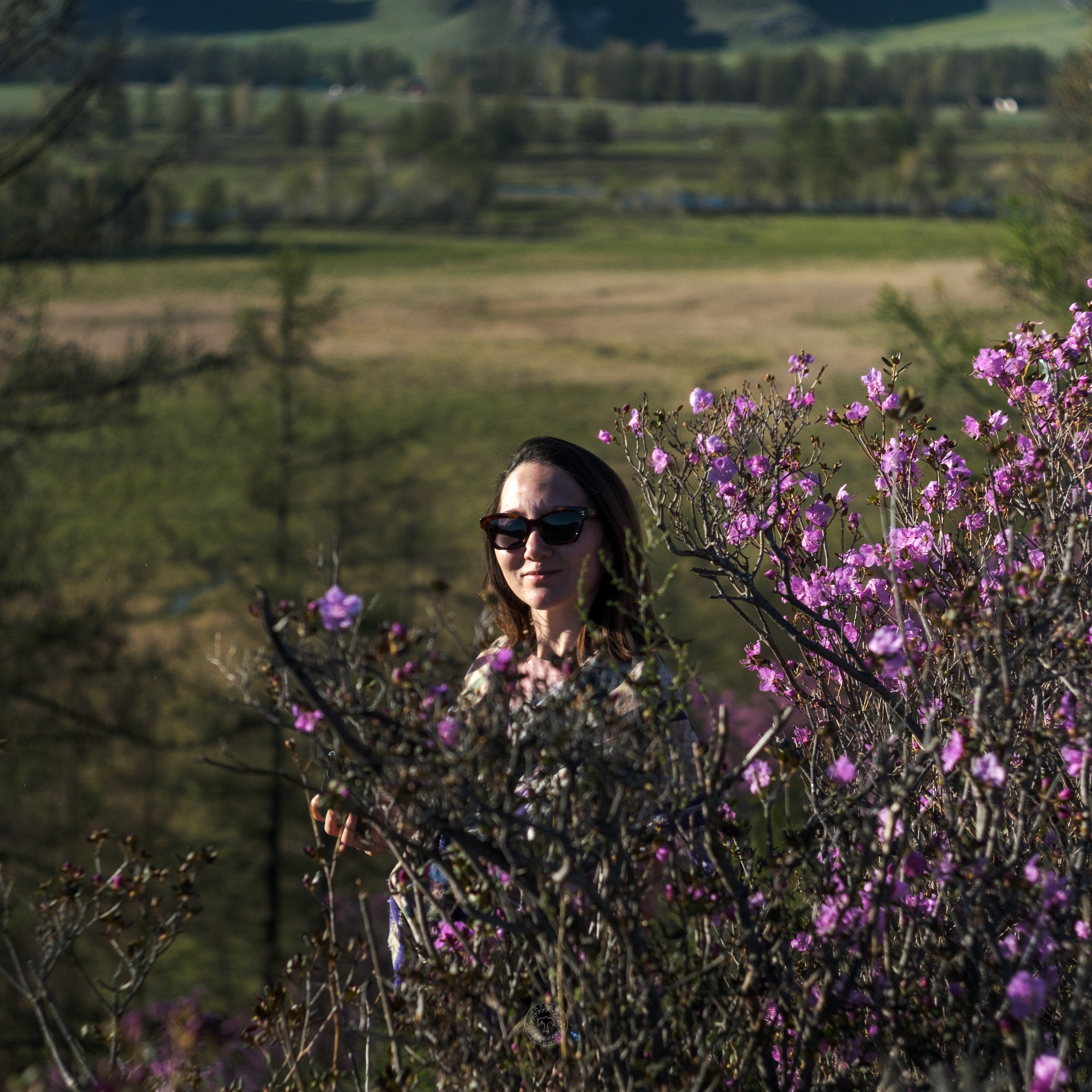 Весенний Маральник на Алтае (35/41)