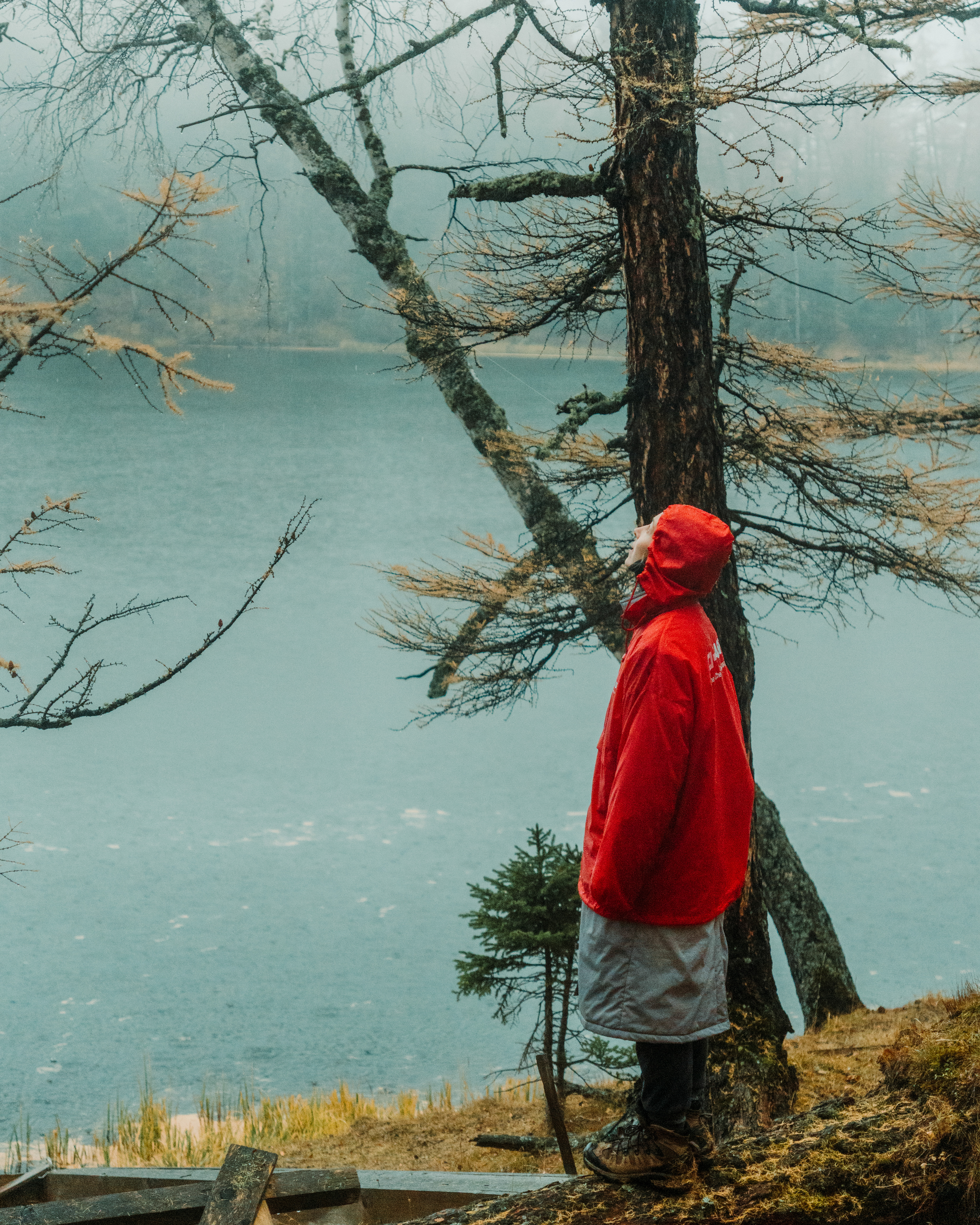 Алтай. Осенний Джангысколь (25/38)