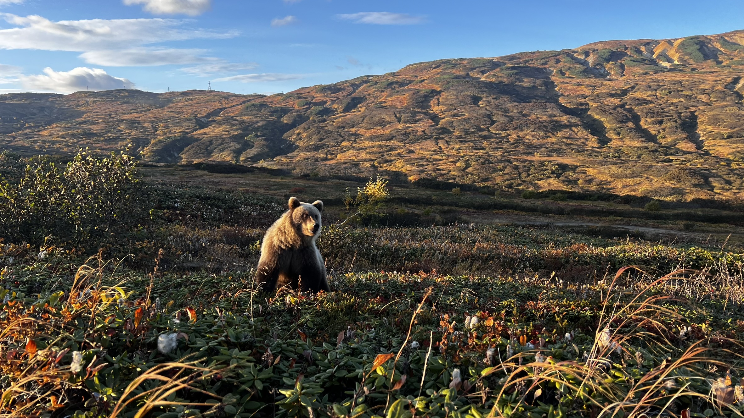 Земля Камчатка. Вулканы, киты, медведи, термальные источники. Джип-тур 2026 (43/86)