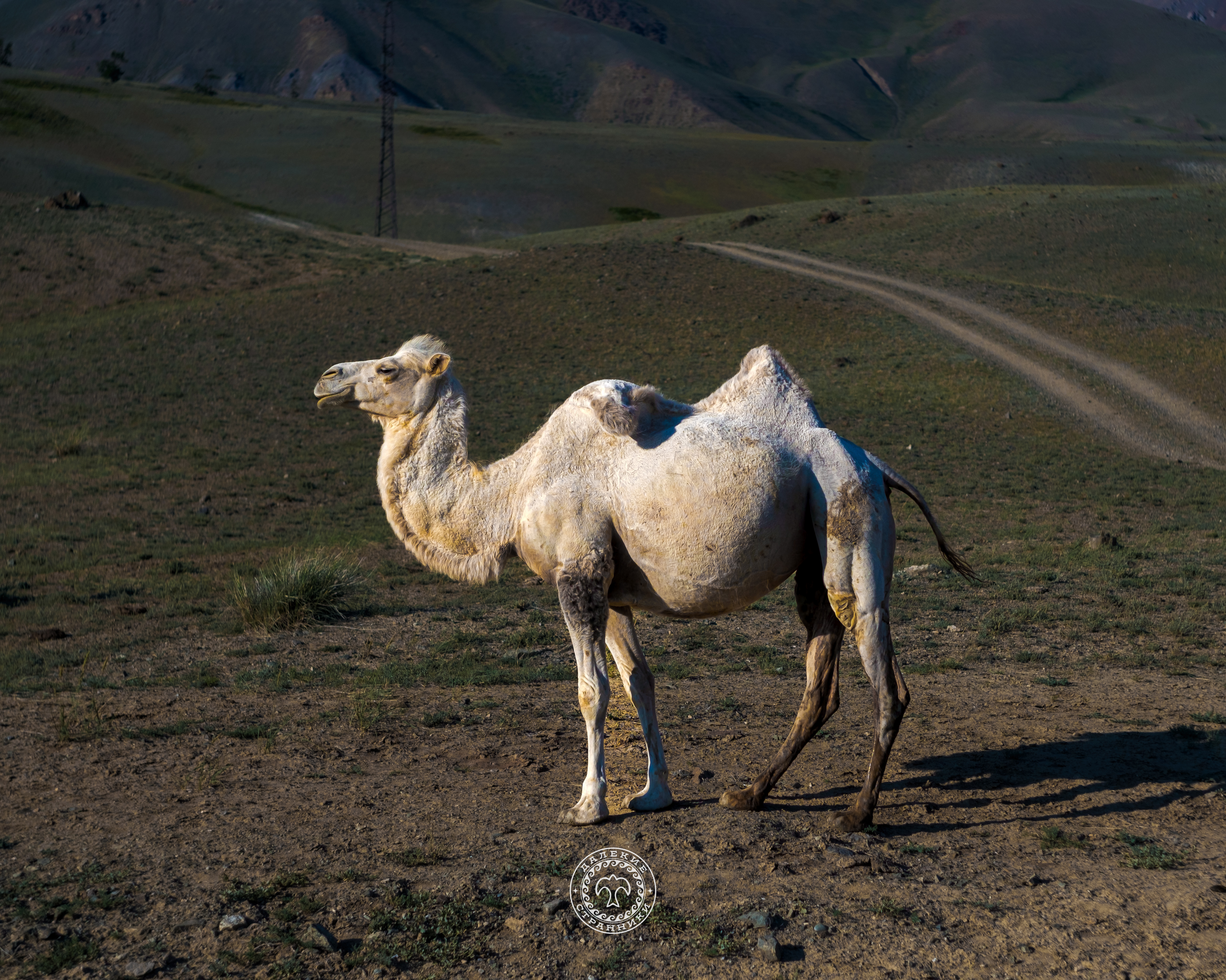 Карагемский Прорыв (53/70)