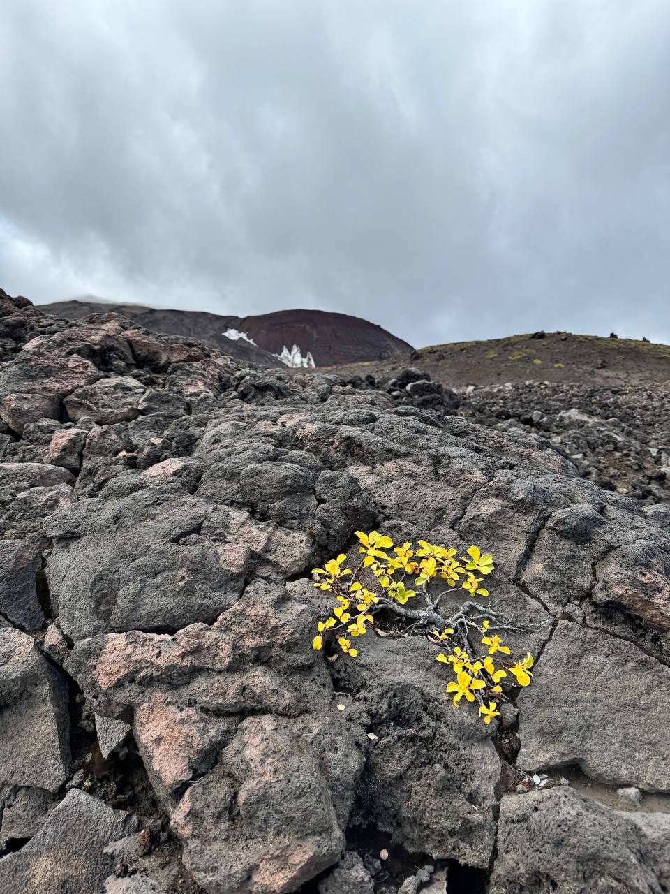Земля Камчатка. Вулканы, киты, медведи, термальные источники. Джип-тур 2026 (58/86)