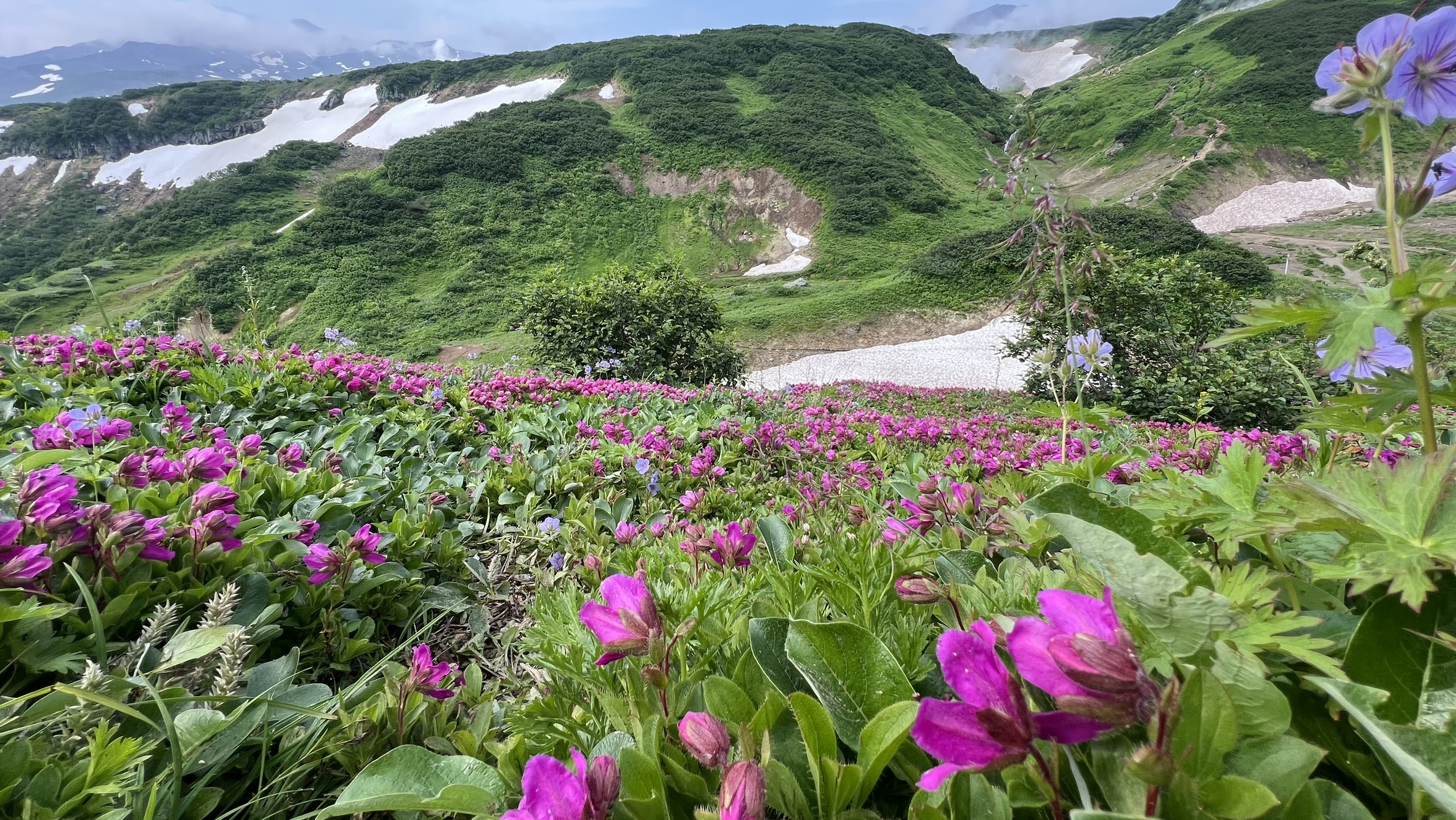 Земля Камчатка. Вулканы, киты, медведи, термальные источники. Джип-тур 2026 (24/86)