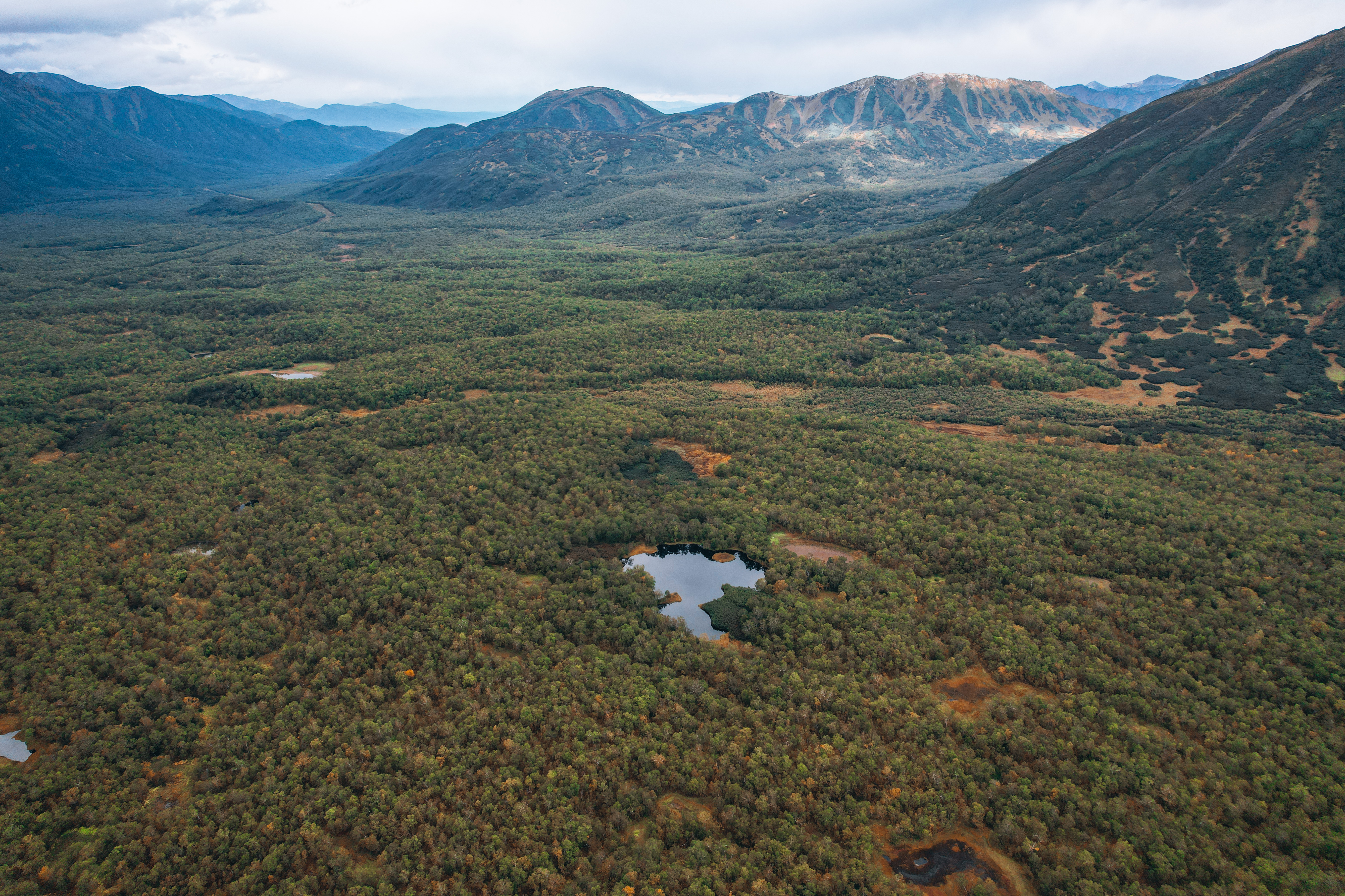 Земля Камчатка. Вулканы, киты, медведи, термальные источники. Джип-тур 2026 (34/86)