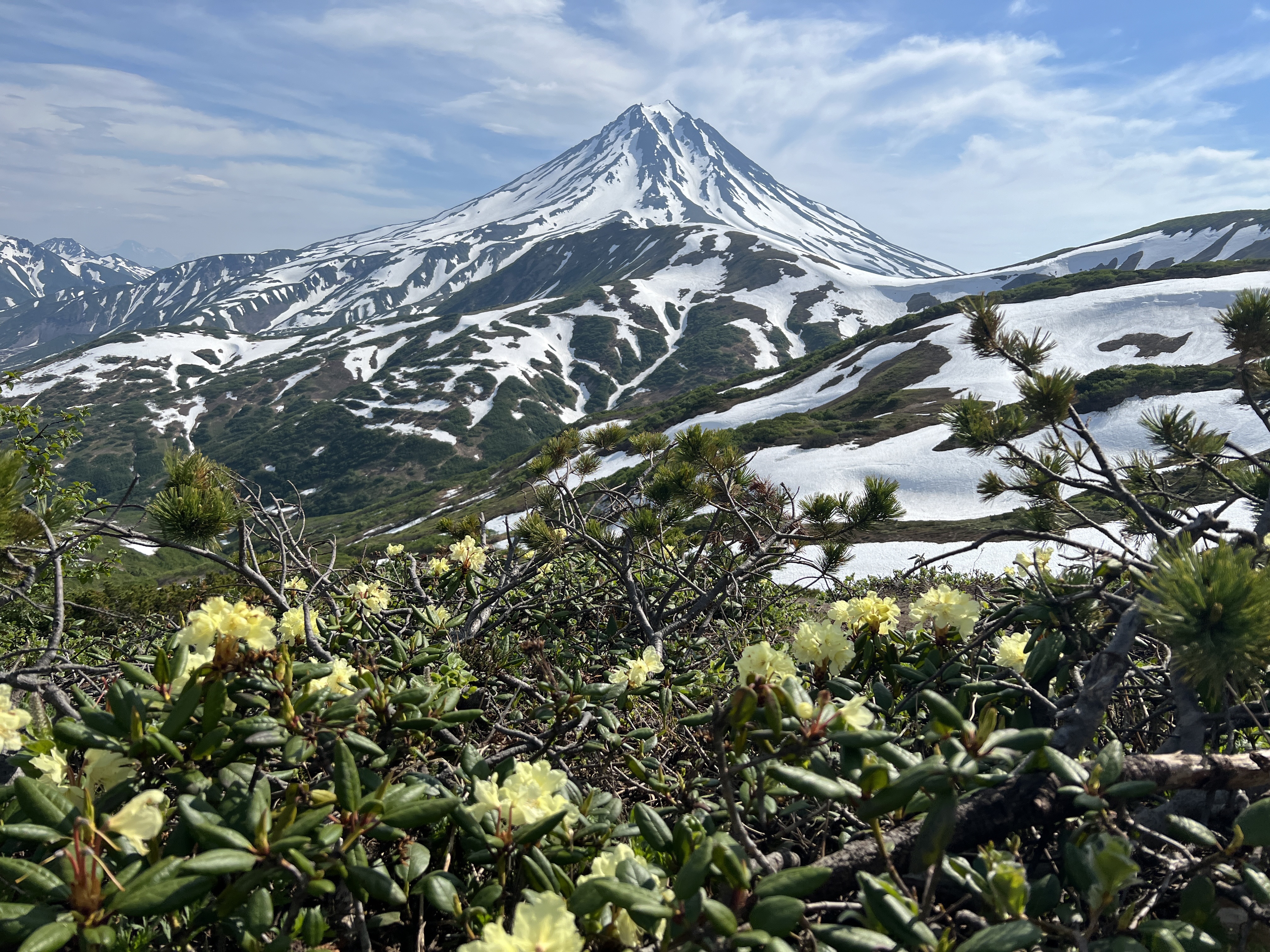 Земля Камчатка. Вулканы, киты, медведи, термальные источники. Джип-тур 2026 (12/86)
