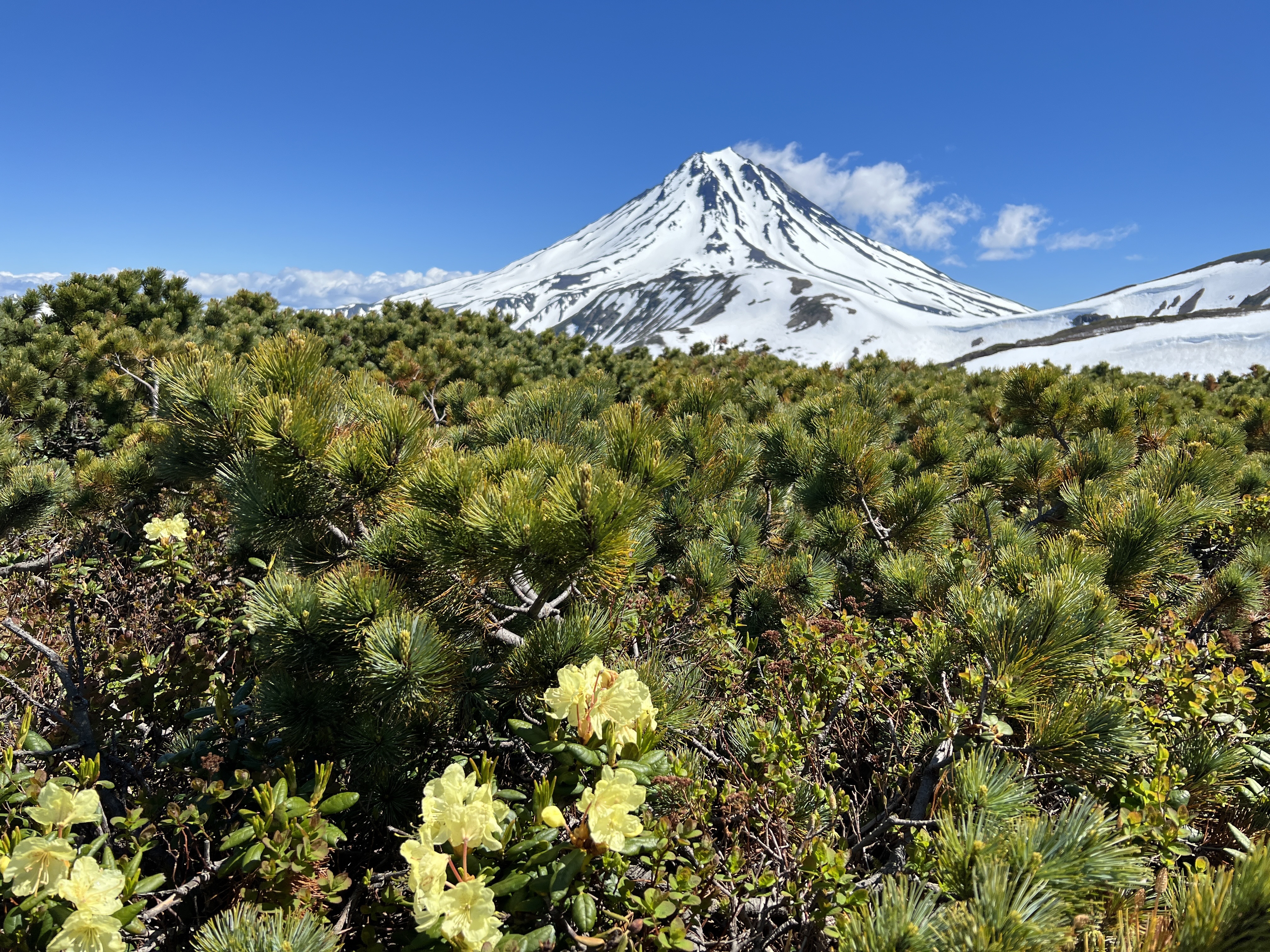 Земля Камчатка. Вулканы, киты, медведи, термальные источники. Джип-тур 2026 (30/86)