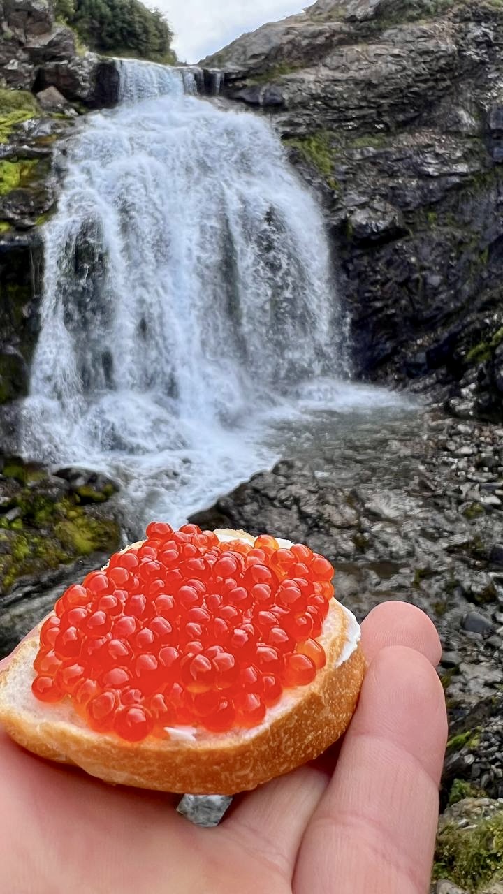 Земля Камчатка. Вулканы, киты, медведи, термальные источники. Джип-тур 2026 (39/86)