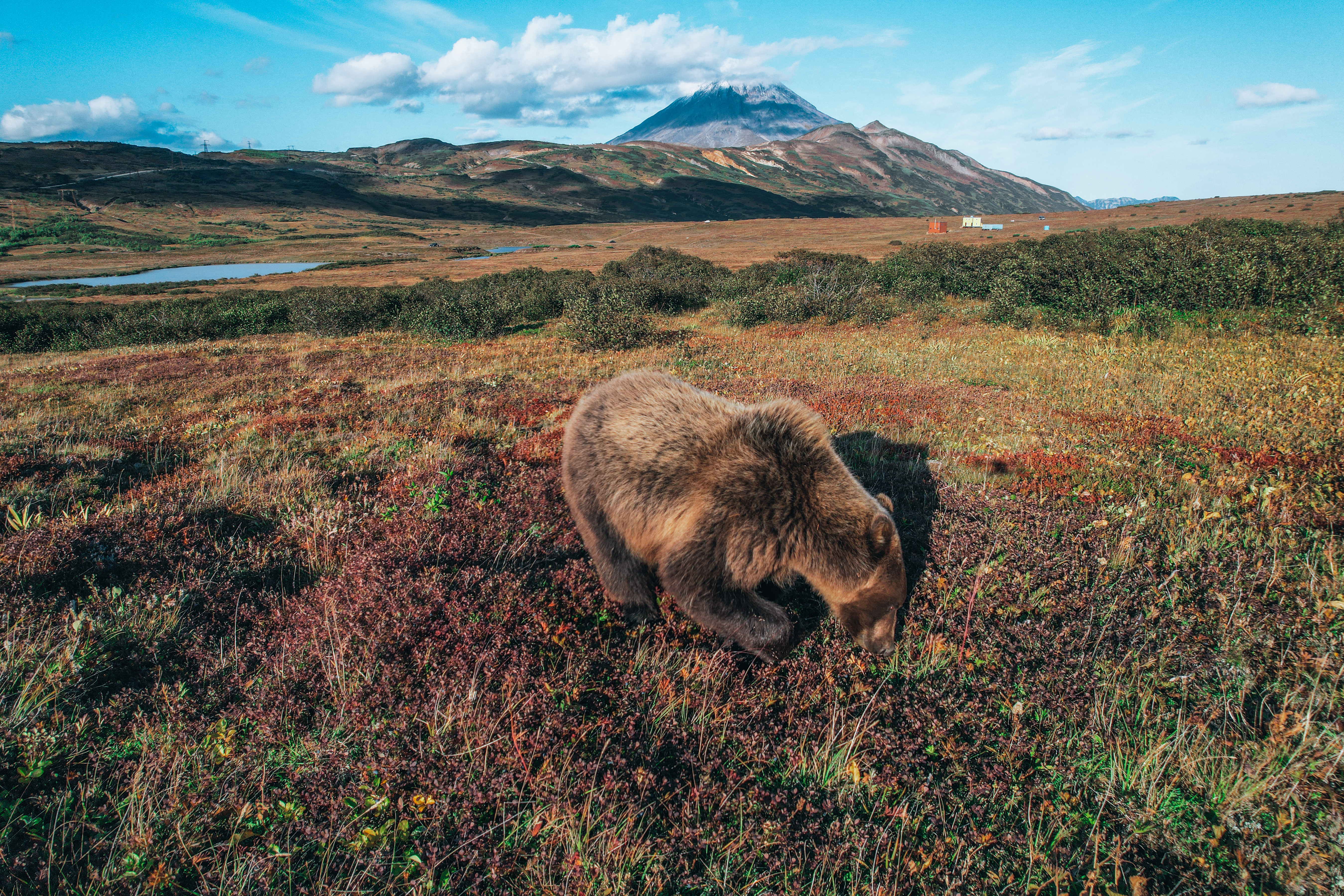 Земля Камчатка. Вулканы, киты, медведи, термальные источники. Джип-тур 2026 (55/86)