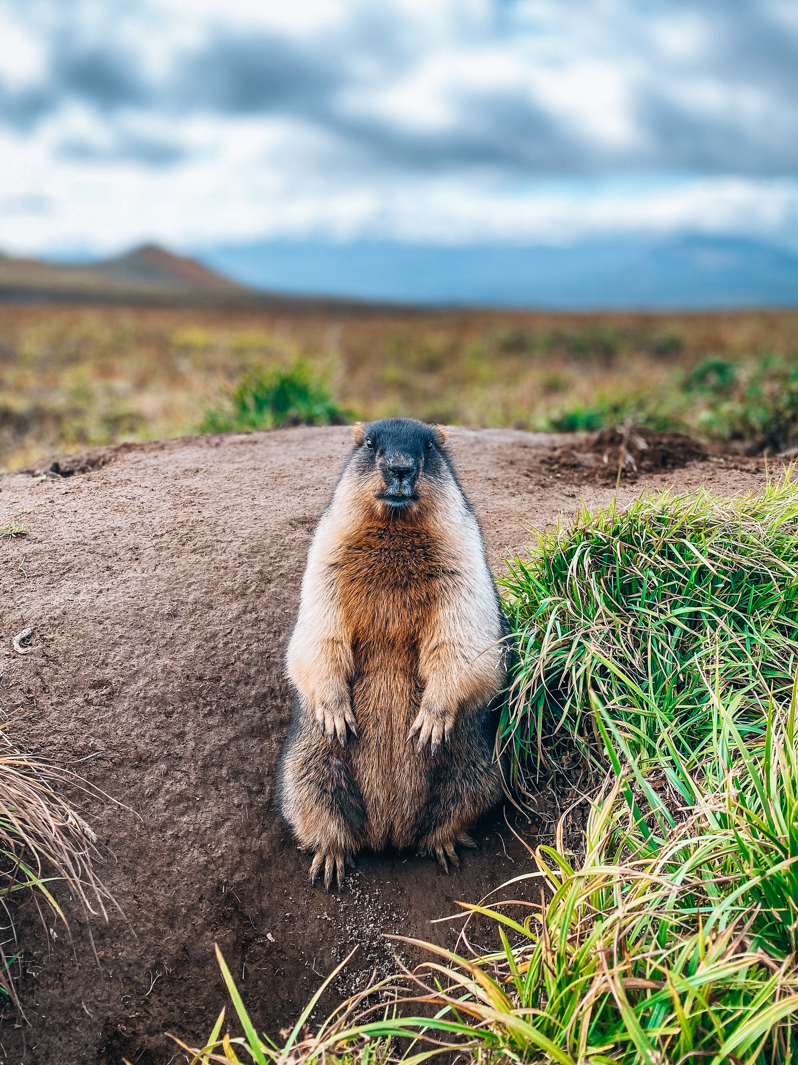 Земля Камчатка. Вулканы, киты, медведи, термальные источники. Джип-тур 2026 (51/86)