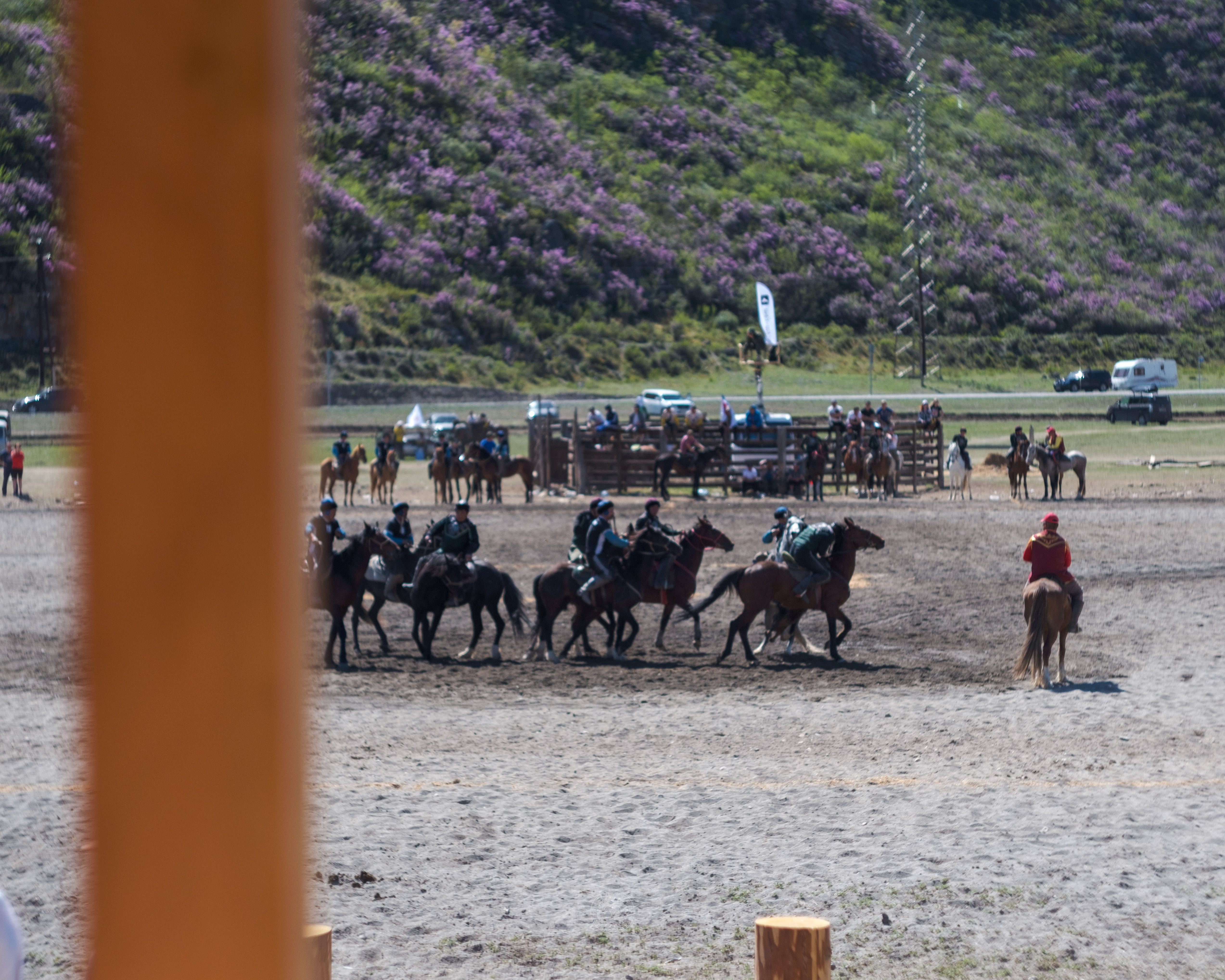 Весенний Маральник на Алтае (34/41)
