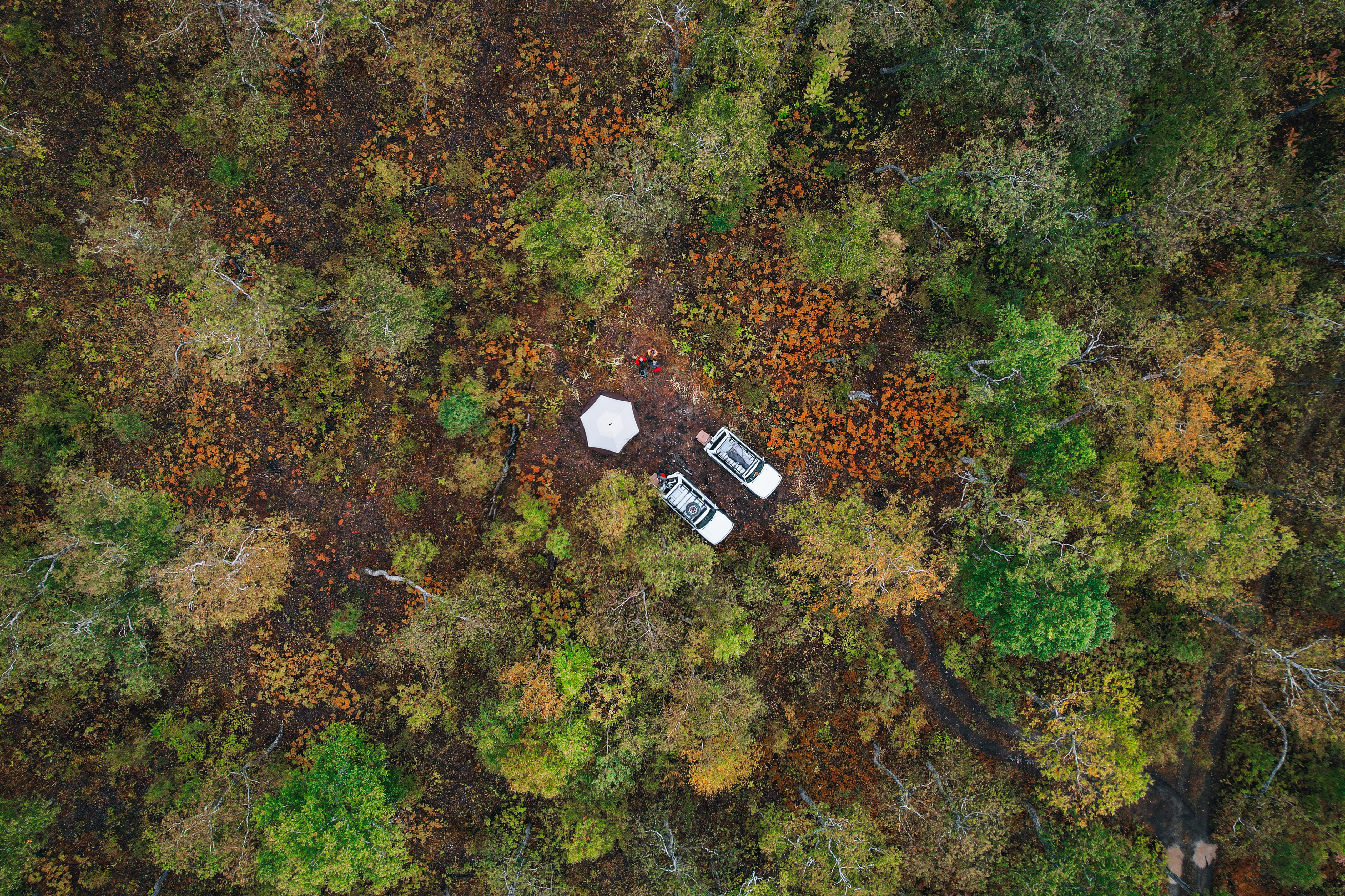 Земля Камчатка. Вулканы, киты, медведи, термальные источники. Джип-тур 2026 (17/86)