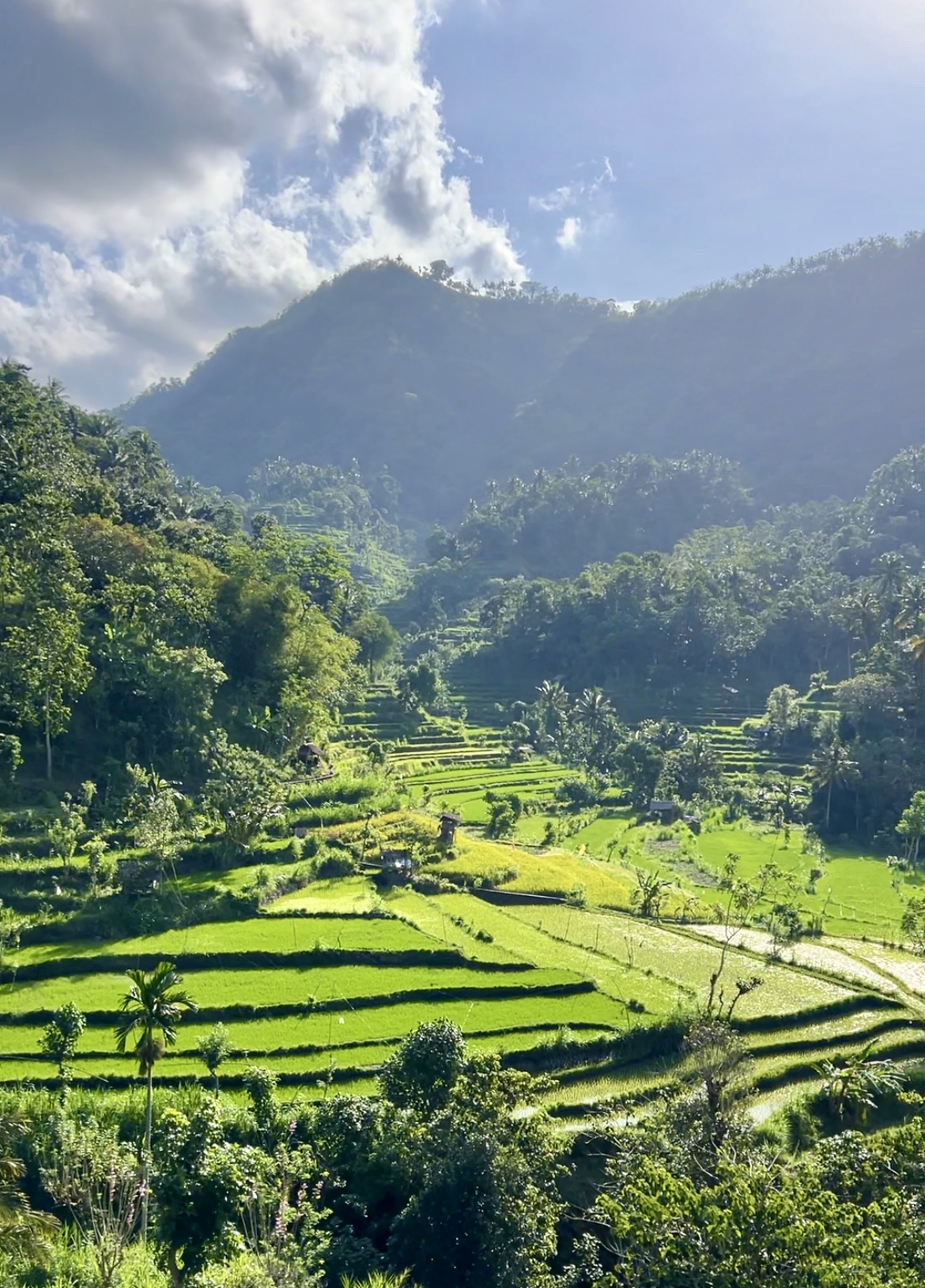 Бали + о.Нуса Пенида + Круиз на яхте по райским островам Гили!